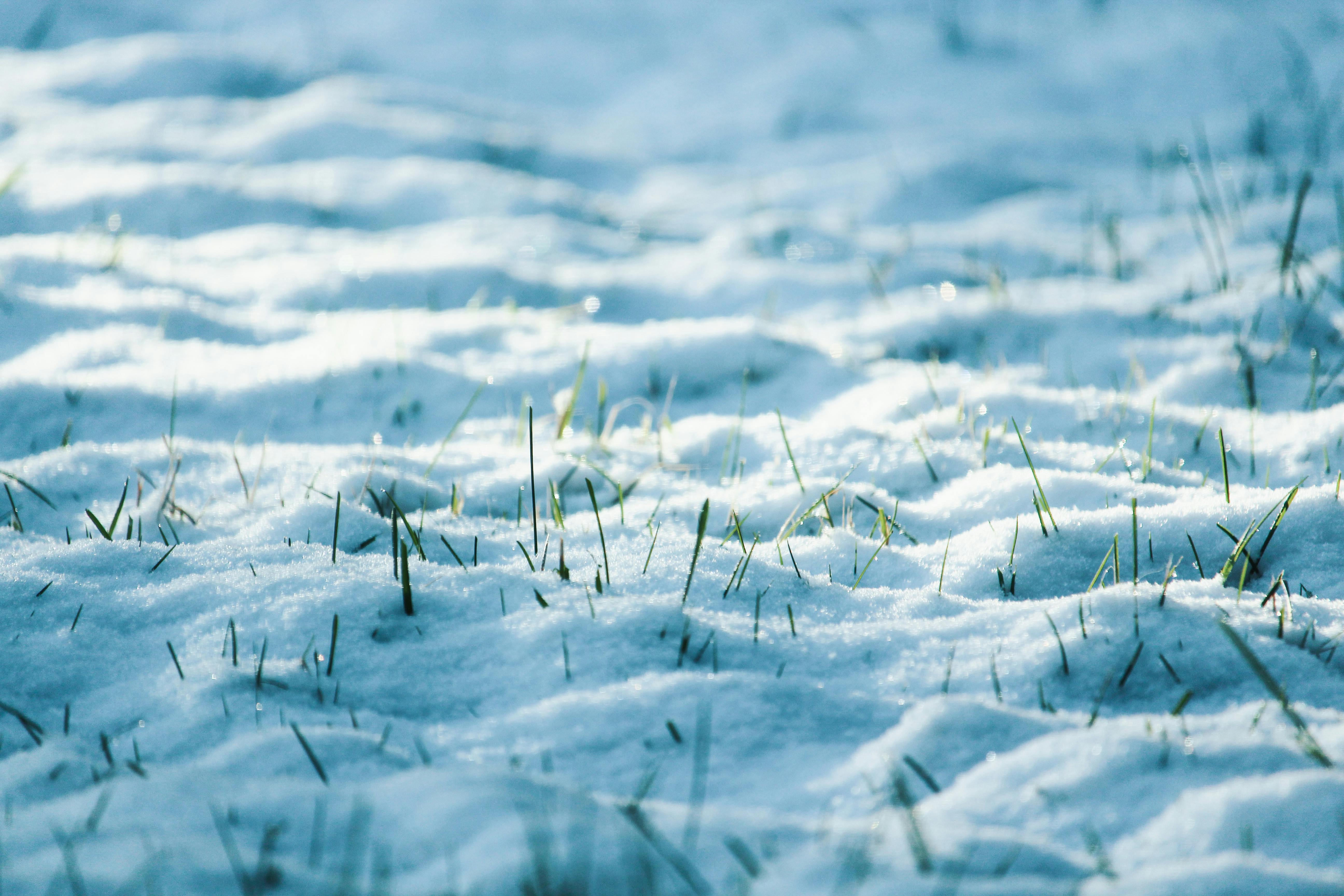 Snow Texture Photo, Download The BEST Free Snow Texture & HD Image