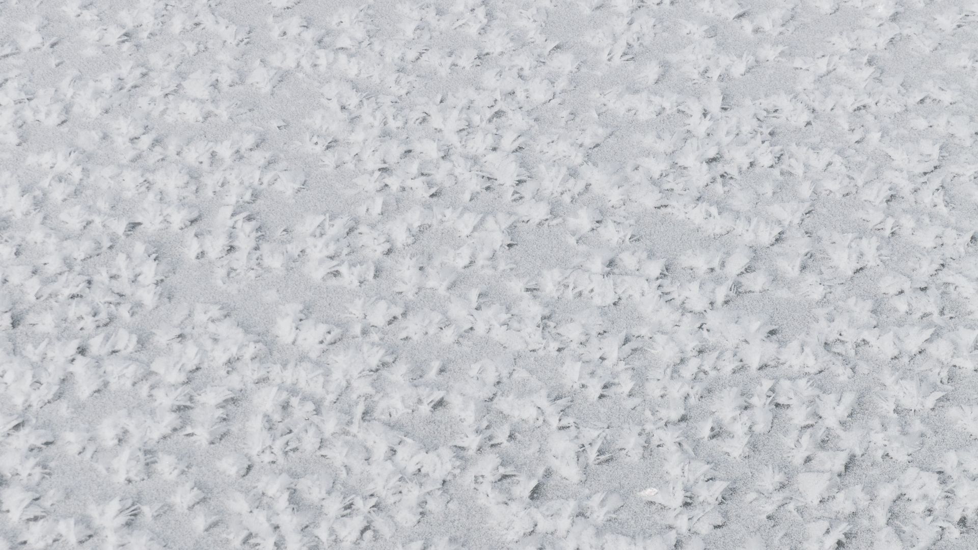 Download wallpaper 1920x1080 snow, texture, white, surface full hd, hdtv, fhd, 1080p HD background