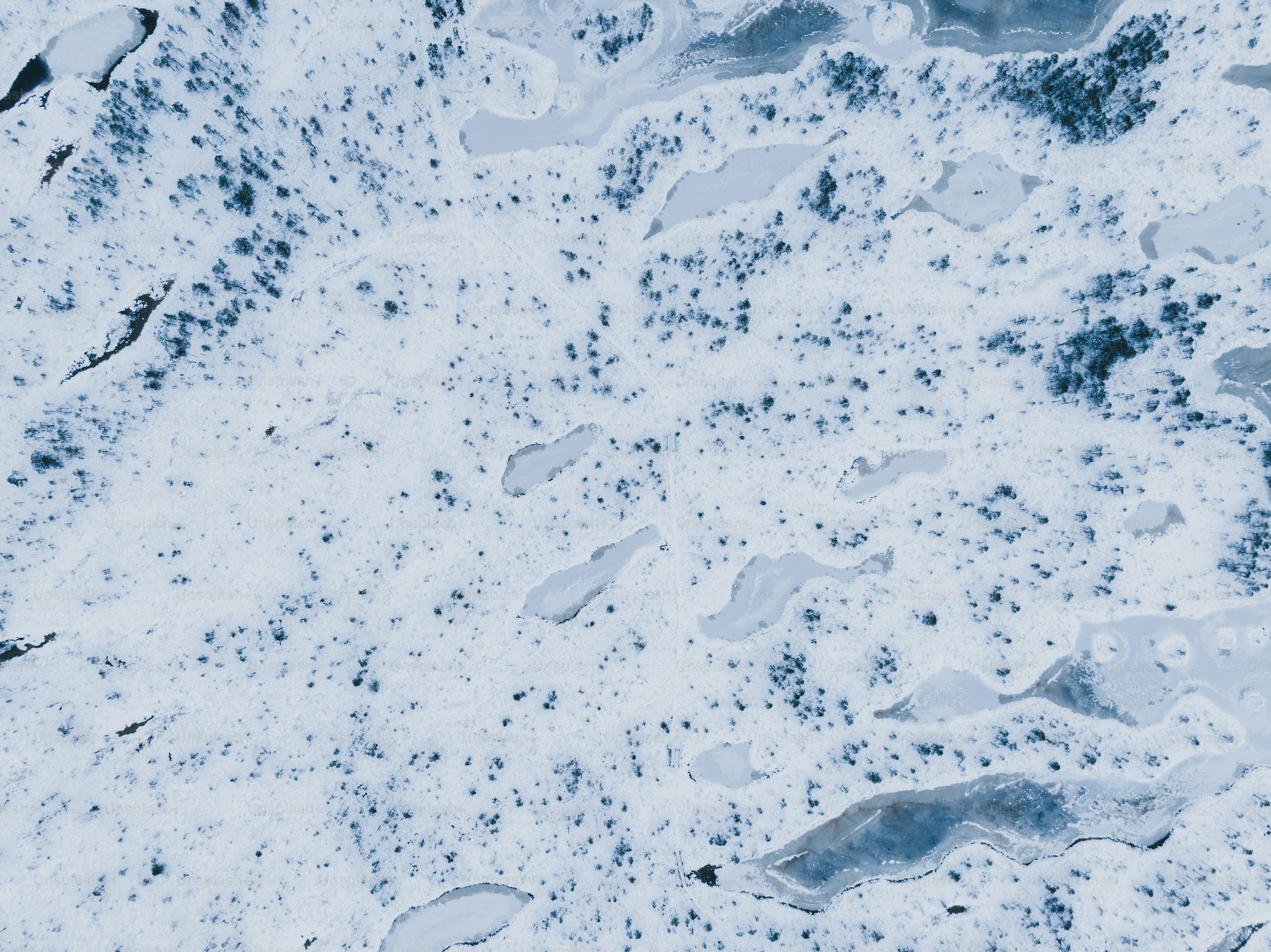 A snow covered ground photo