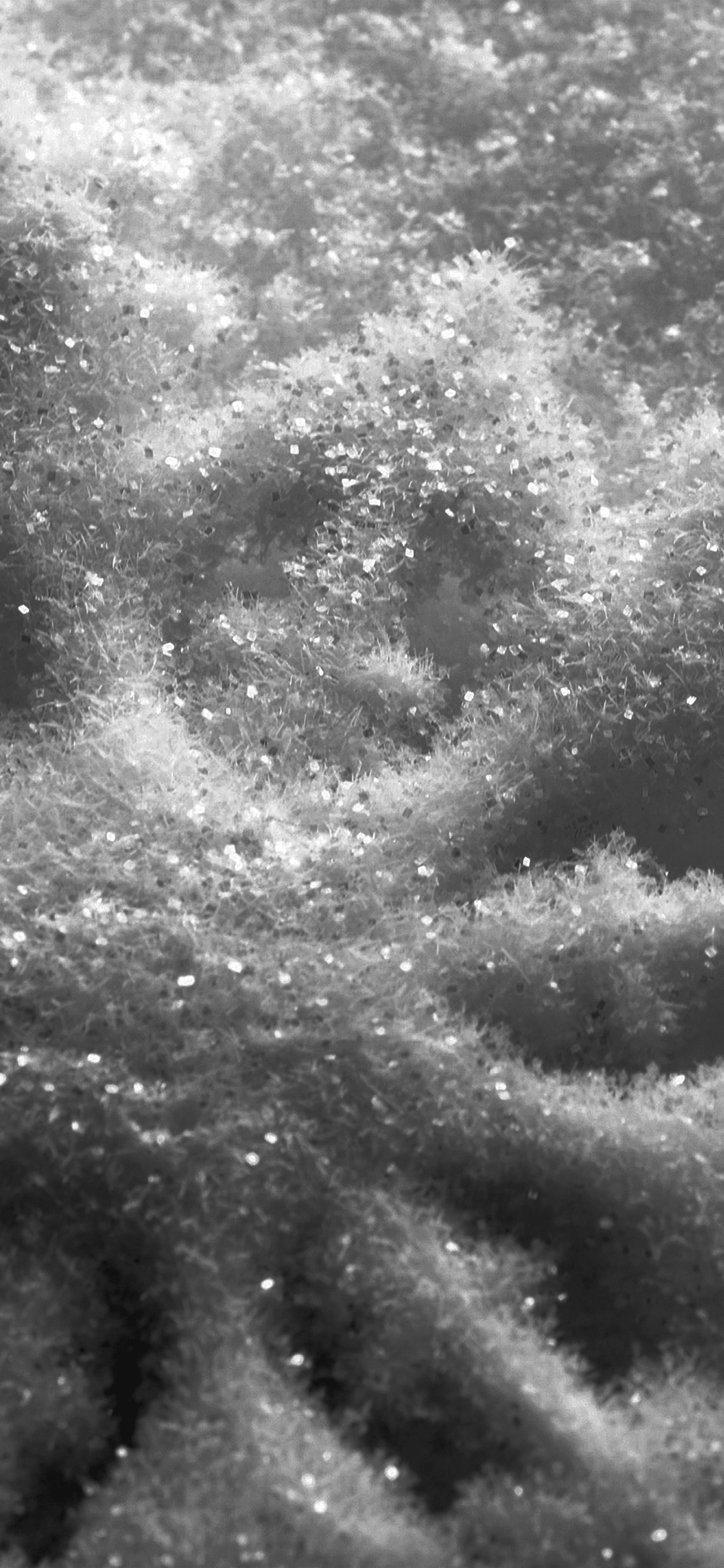 iPhone X wallpaper. snow ice winter texture pattern dark bw