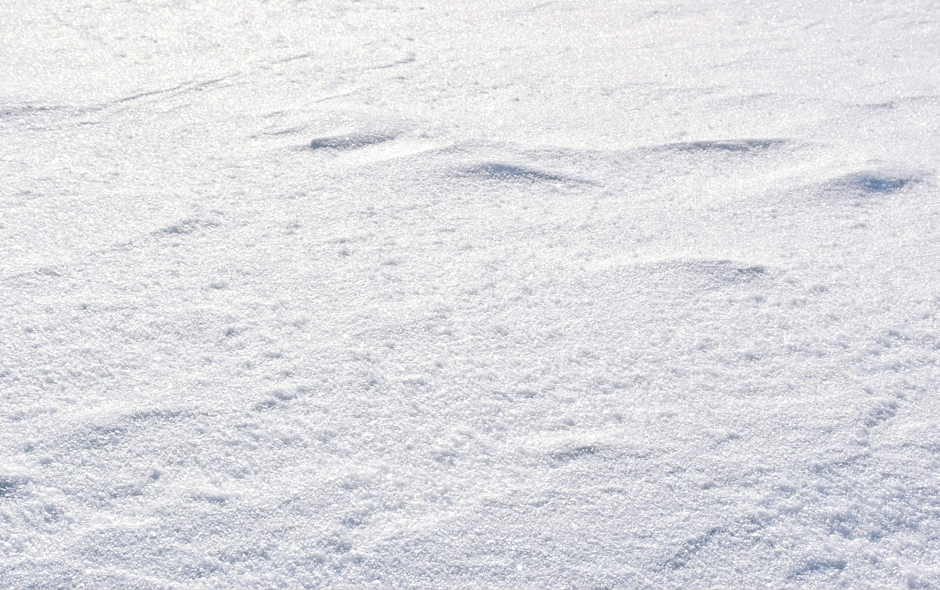 White Snow Picture. Download Free Image