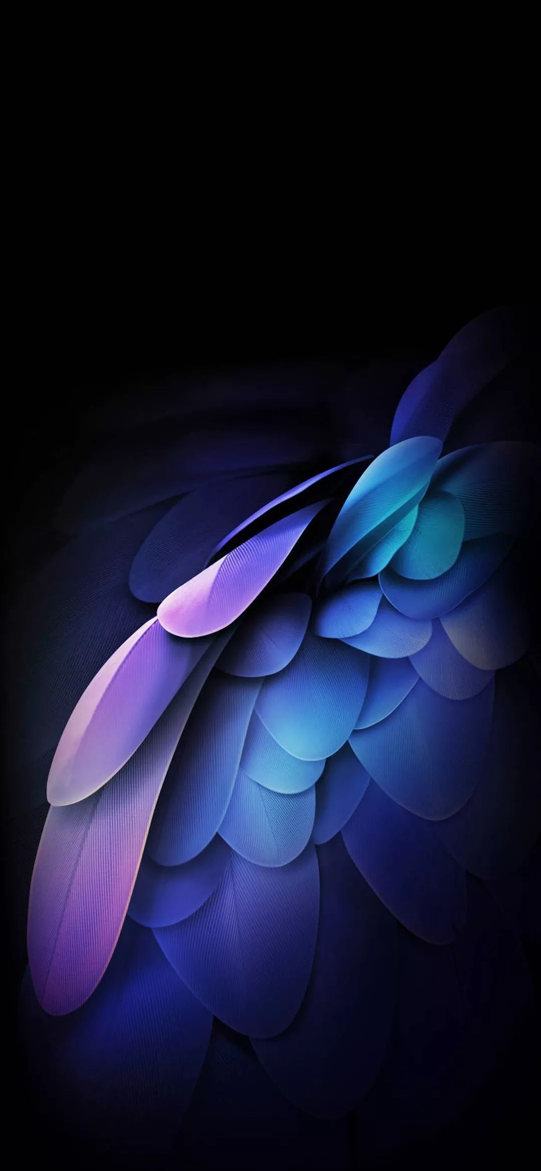 Samsung Galaxy W20 5G Wallpaper (YTECHB Exclusive)