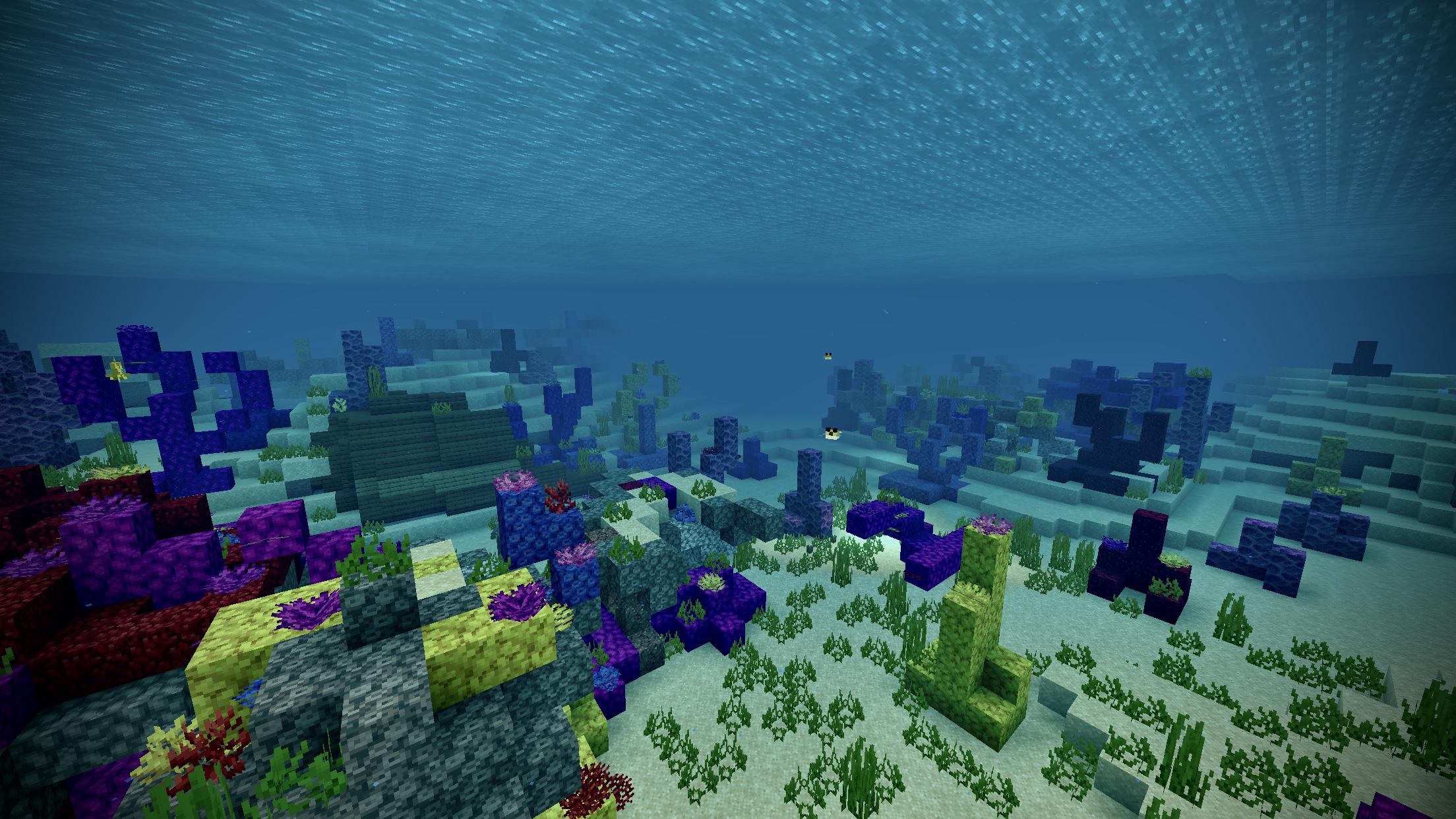 Beautiful underwater scenery