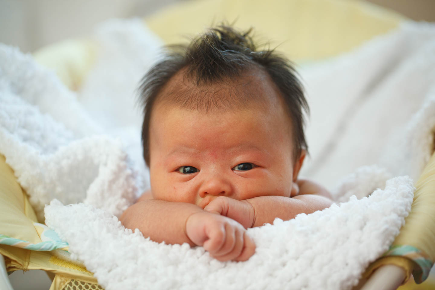 Baby Photographs with Sophie at One Month, Practically Newborn!. dav.d photography