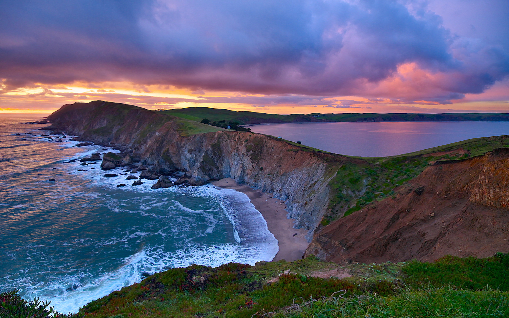 Plangaroo. A Northern California Safari