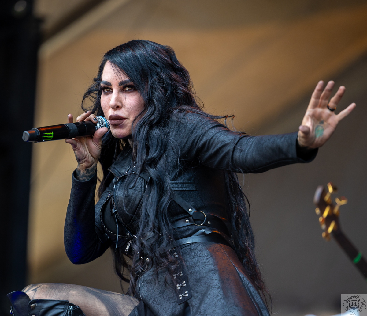 Photo Gallery: Stitched Up Heart at Blue Ridge Rock Festival, 2023