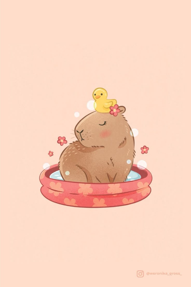Cute Capybara Wallpaper 4K for iPhone, iPad, Laptop, PC