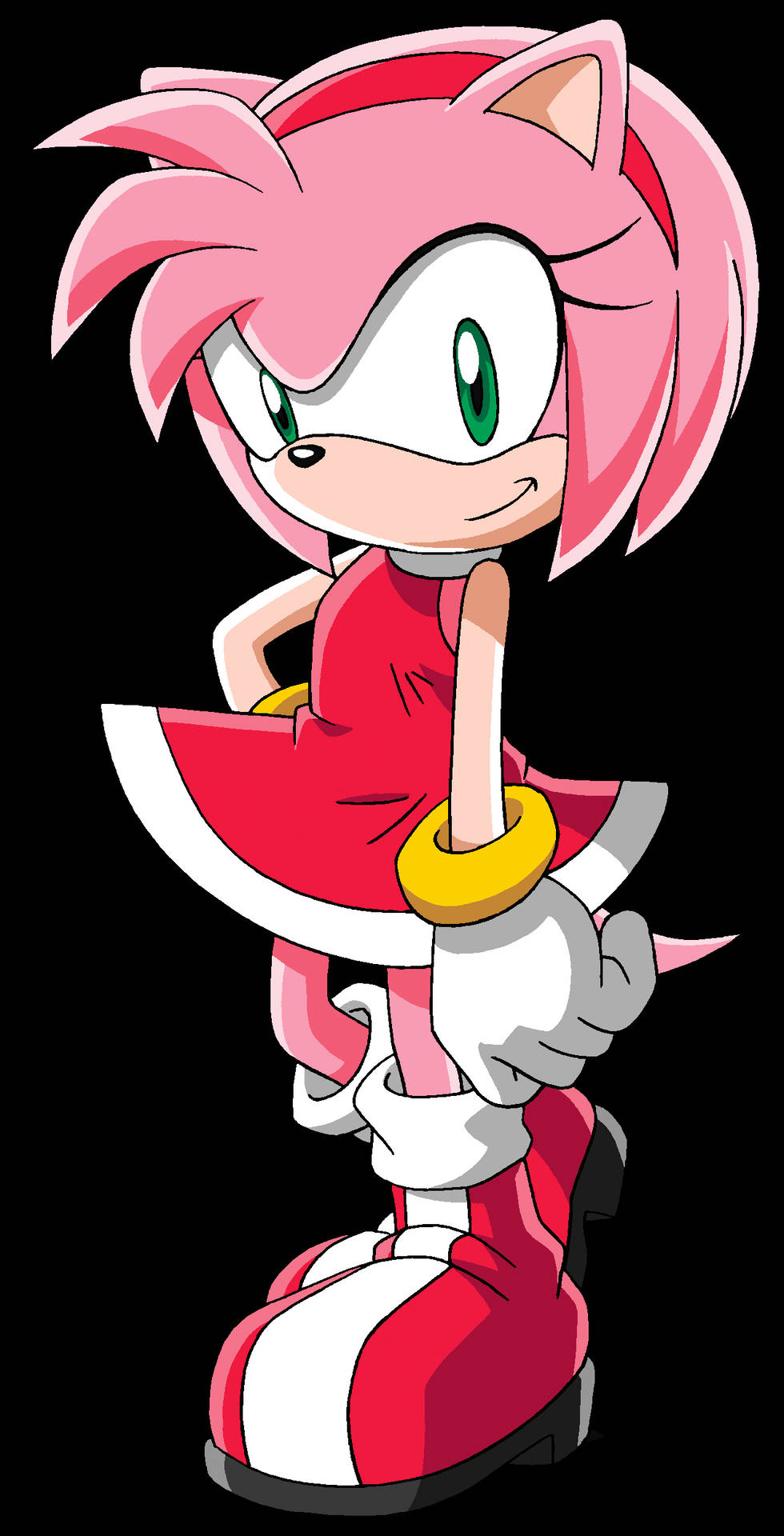 Download Amy Rose Sonic X Character Wallpaper