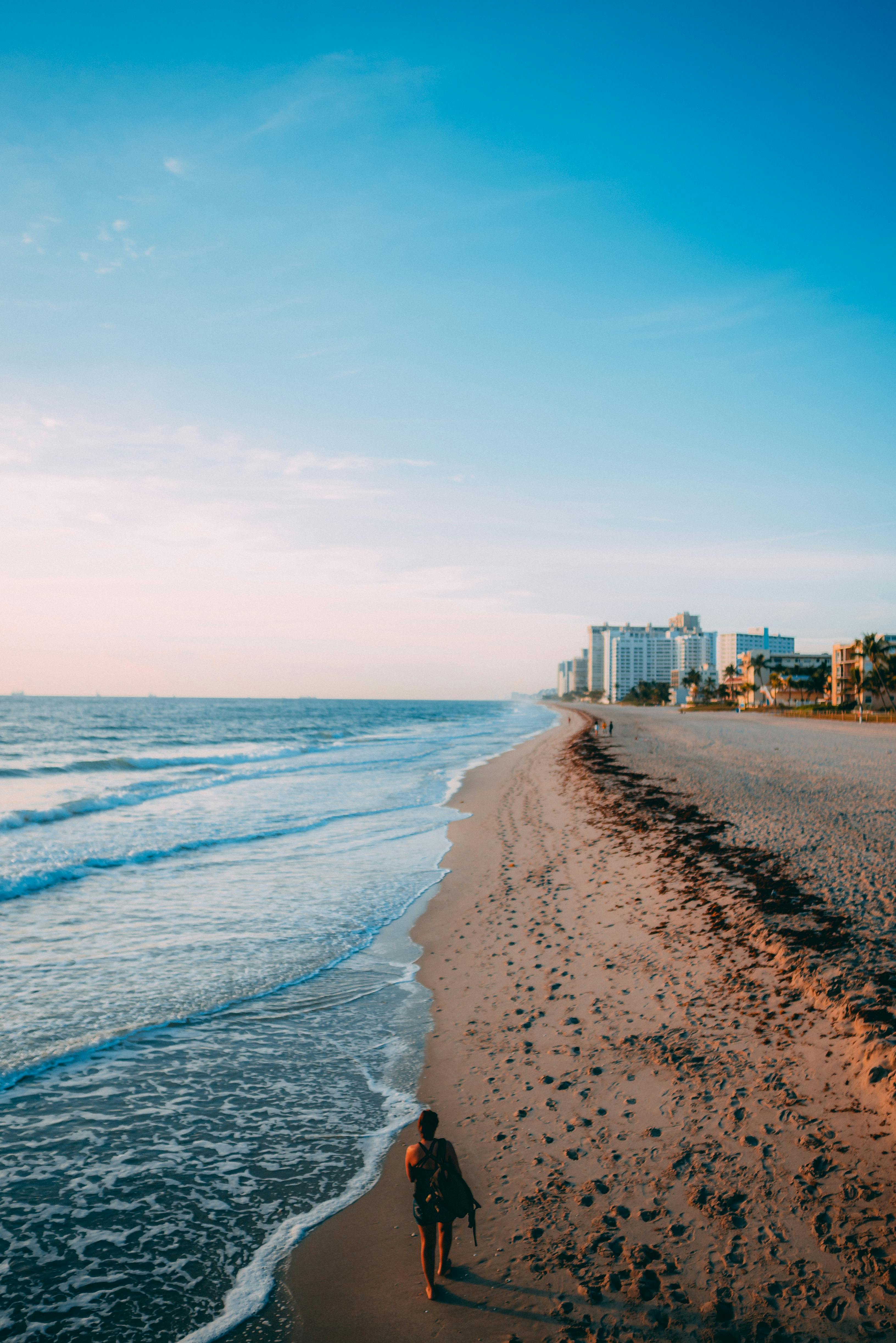 A Person Walking on the Beach · Free