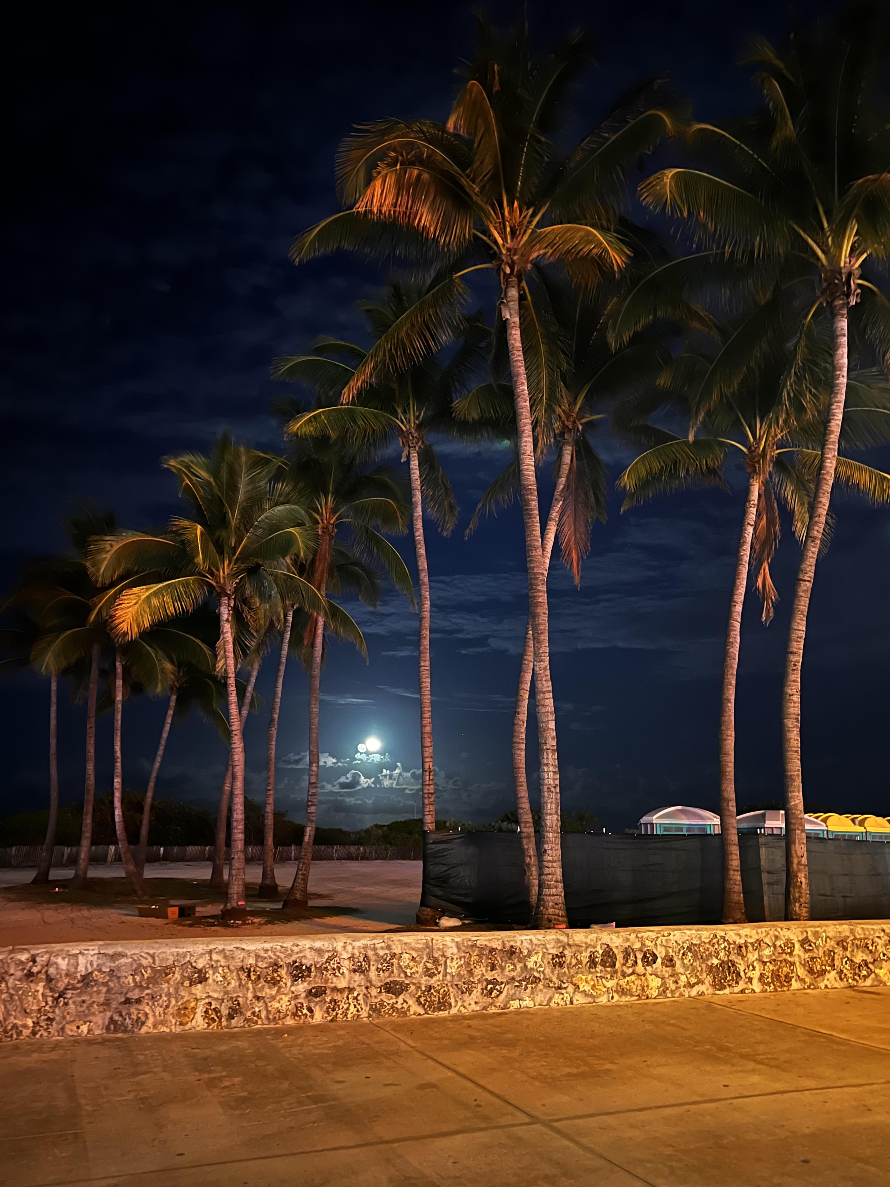 Miami Beach iPhone 13 Pro Max