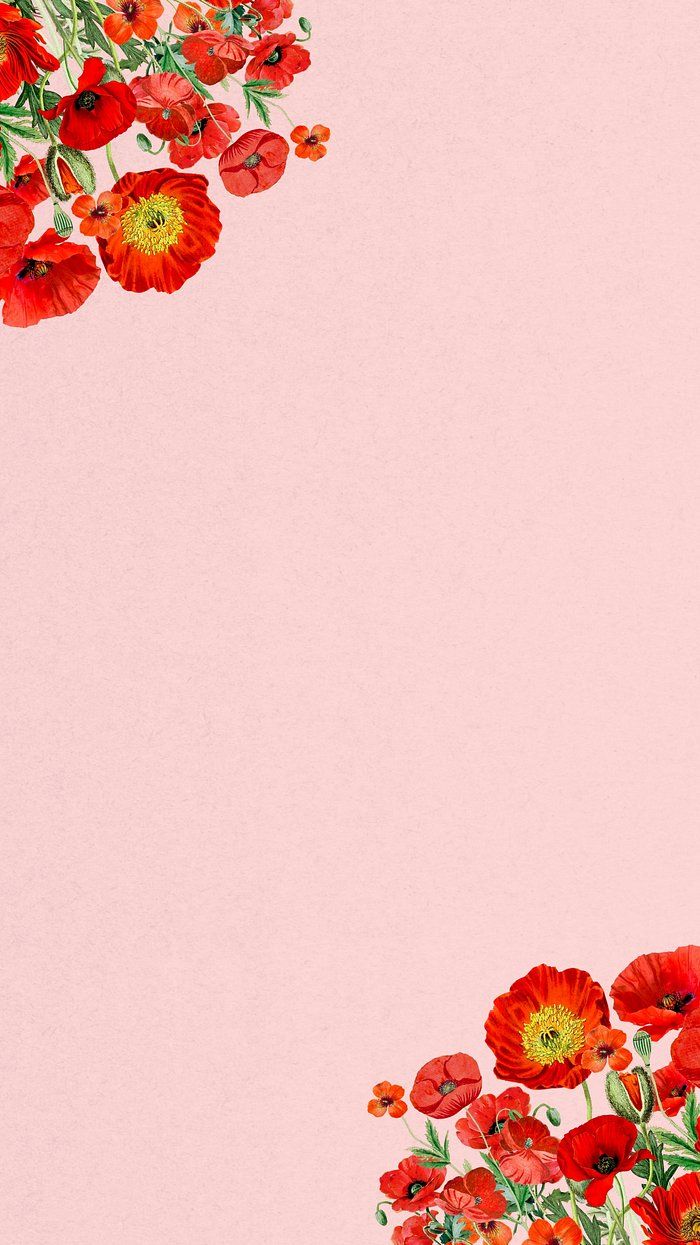 Download premium image of Poppy flower border phone wallpaper, Summer floral background by Adjima about wallpaper, mobile wallpaper, iphone wallpaper, background, and border 9222276