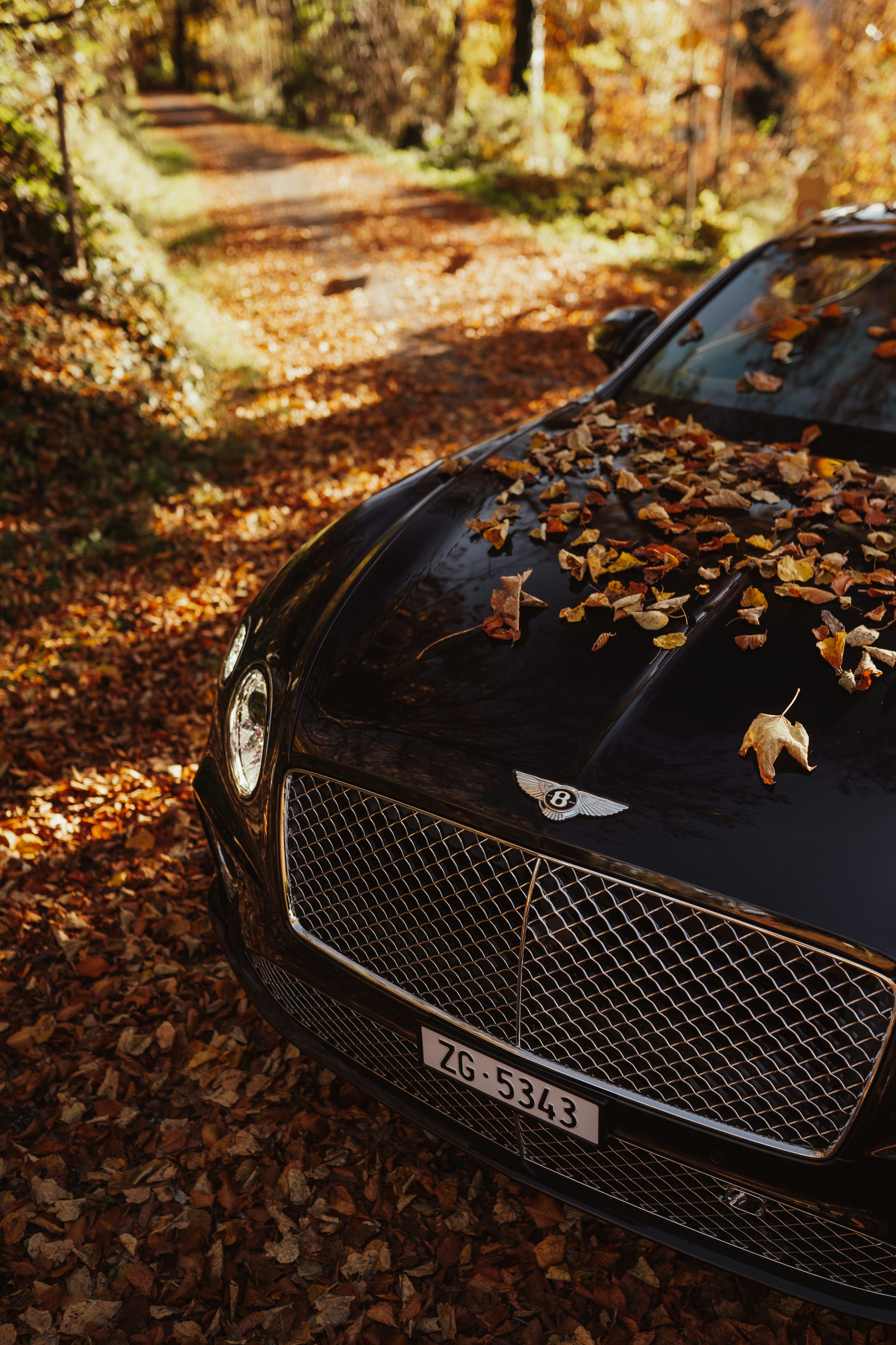 Bentley Continental Gt Picture. Download Free Image