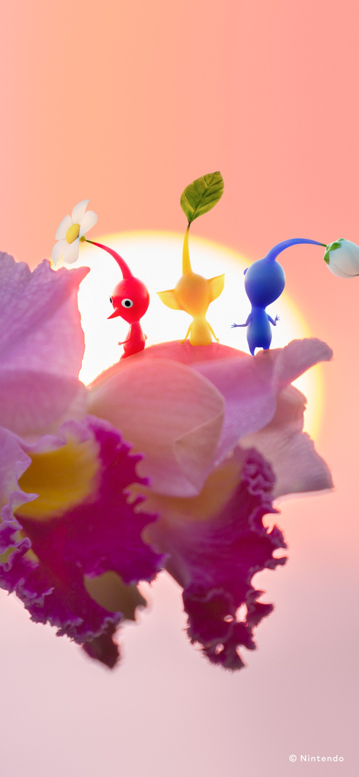 Gallery: Nintendo Japan shares 15 Pikmin wallpaper