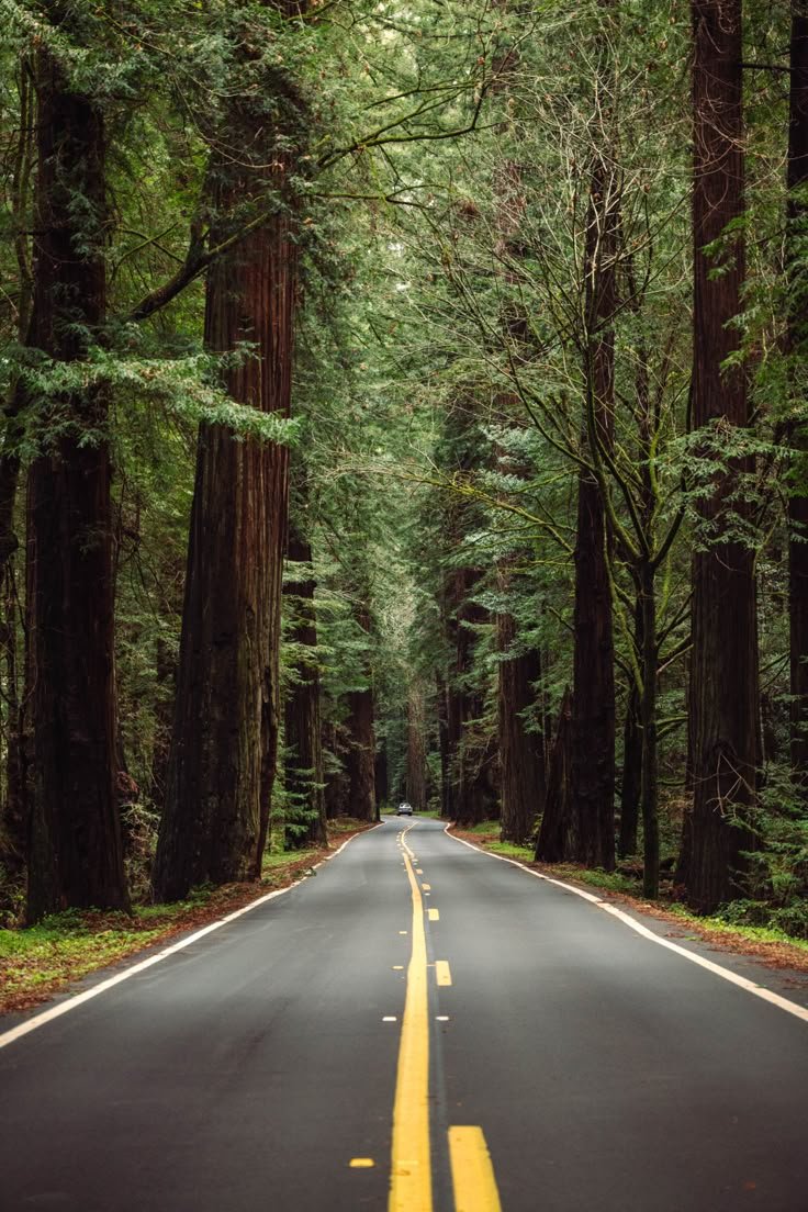 Fun Ideas for a Themed Road Trip With Friends<br/>