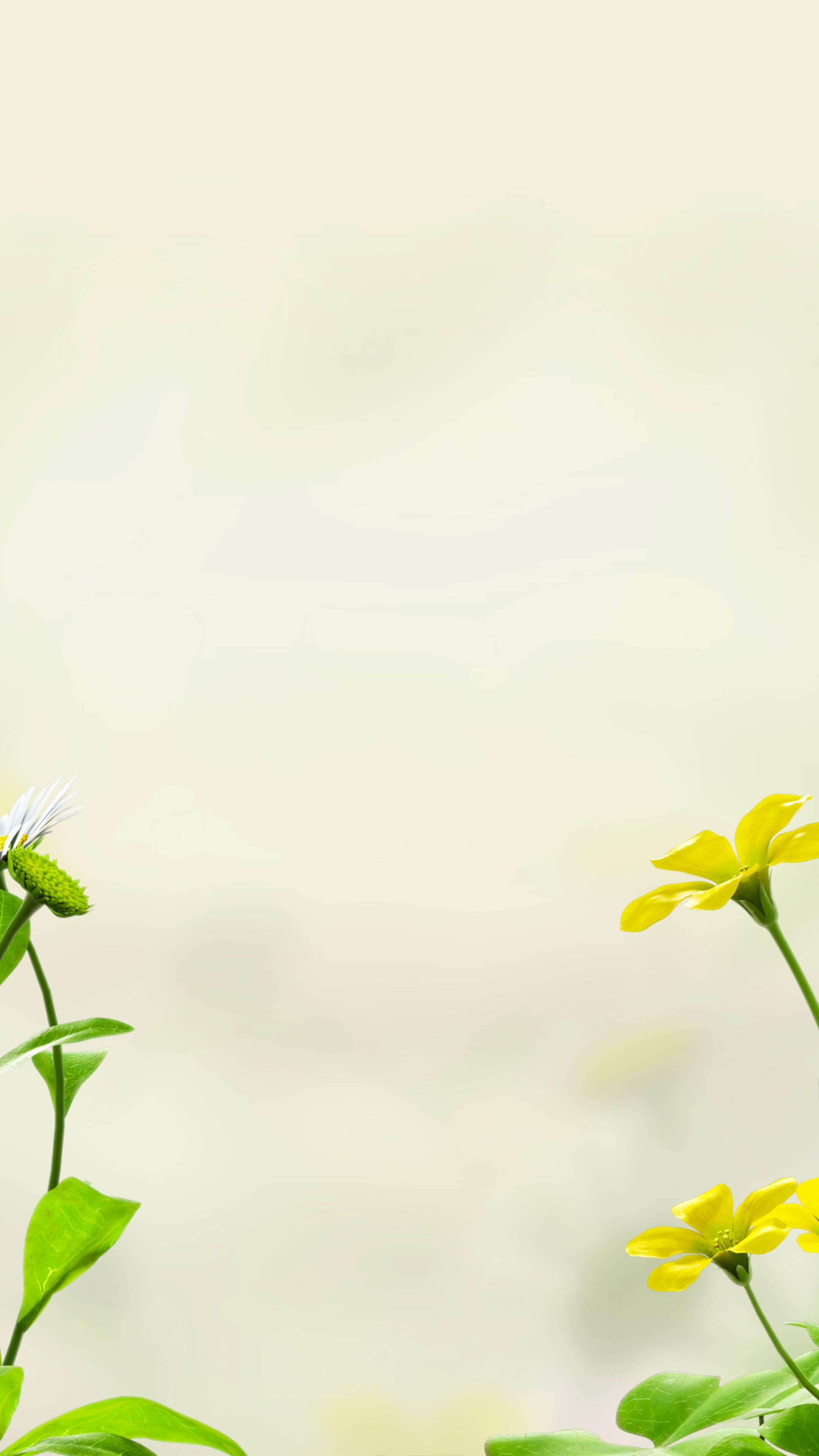 The official home for Pikmin