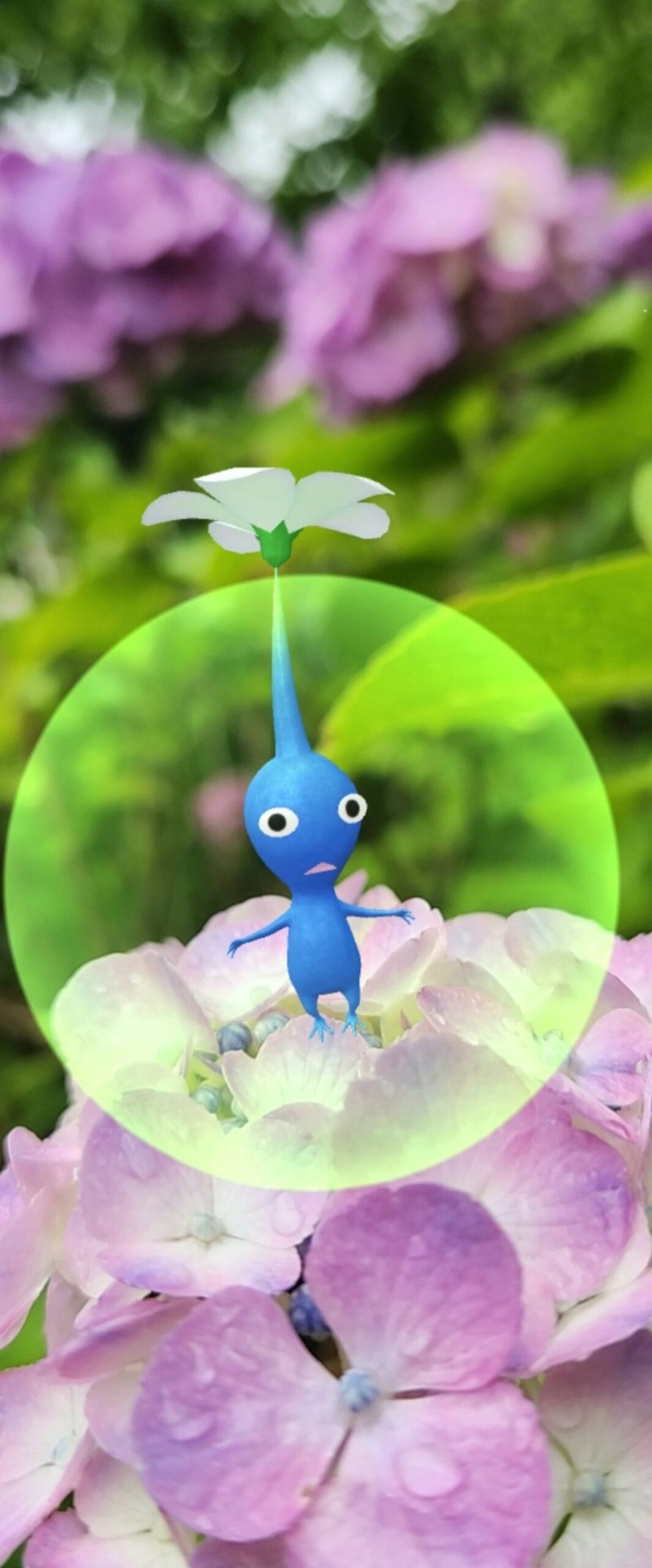 Best Pikmin iPhone Wallpaper [ 4k & HD Quality ]
