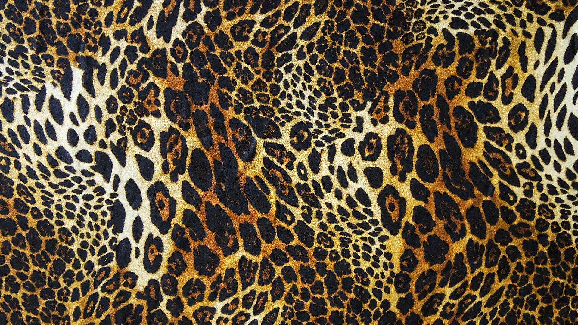 Cheetah Print Wallpaper