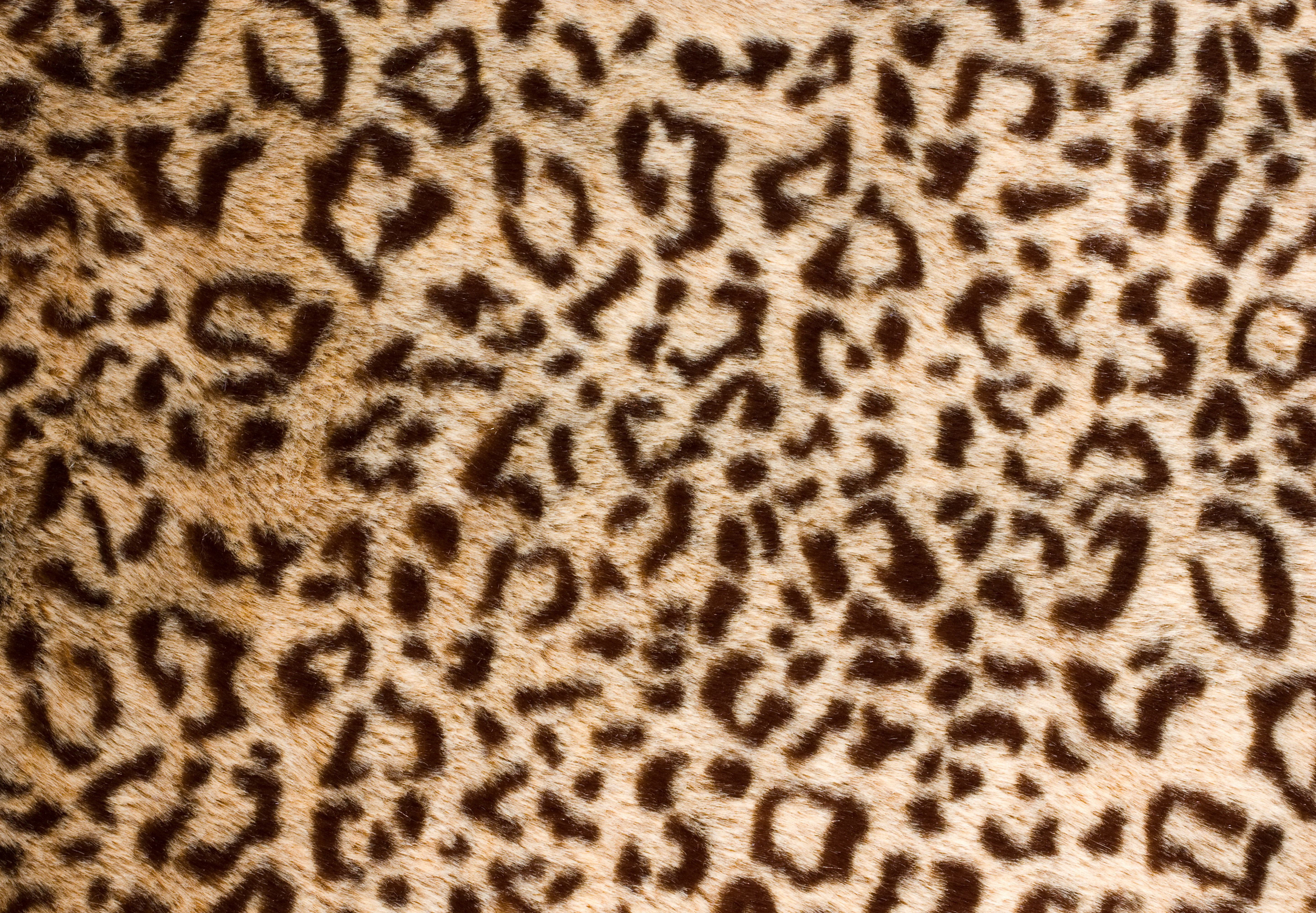 Wallpaper leopard, skin, fur for mobile and desktop, section текстуры, resolution 5766x4000