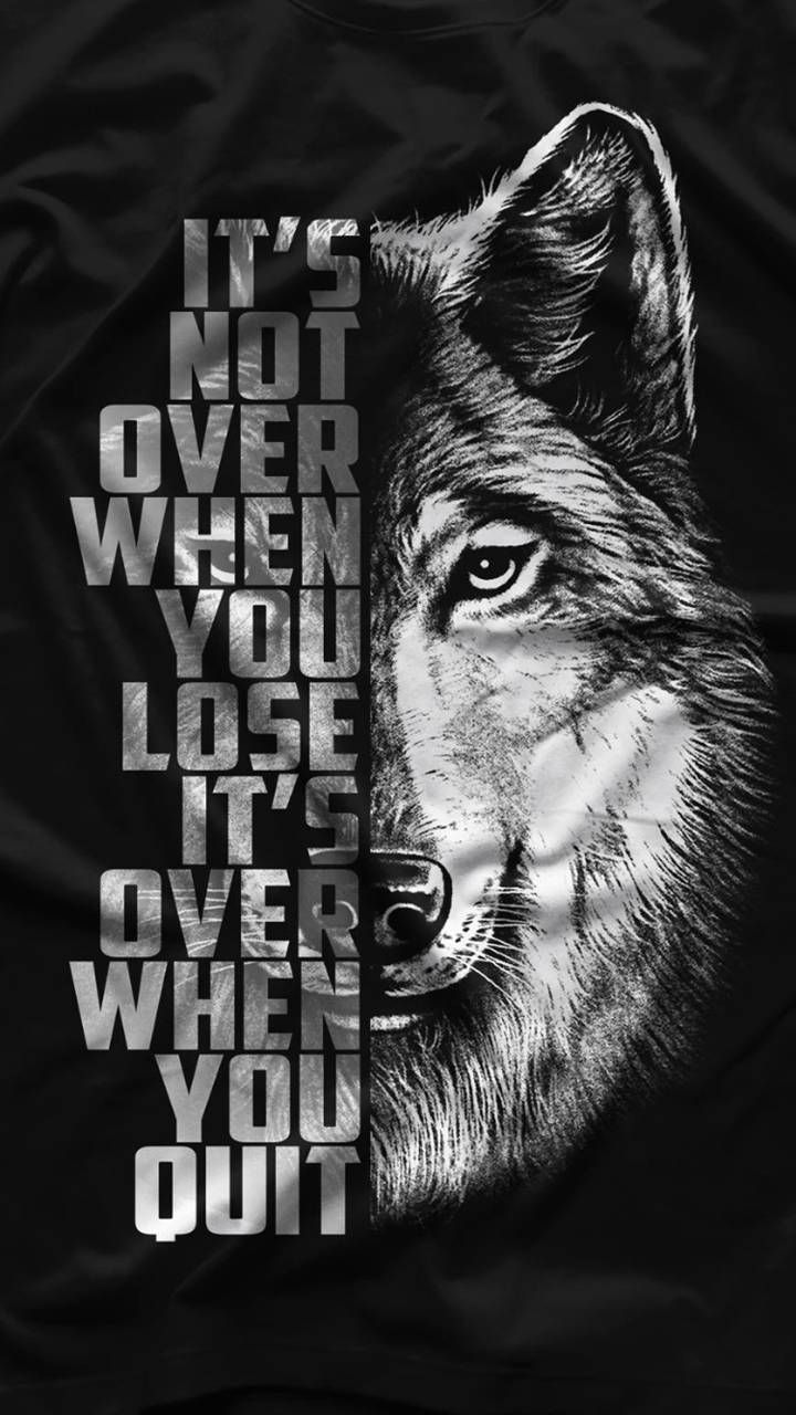 Never Give Up wallpaper by prankman93. b73c. Wolf wallpaper, Phone wallpaper, Wallpaper quotes