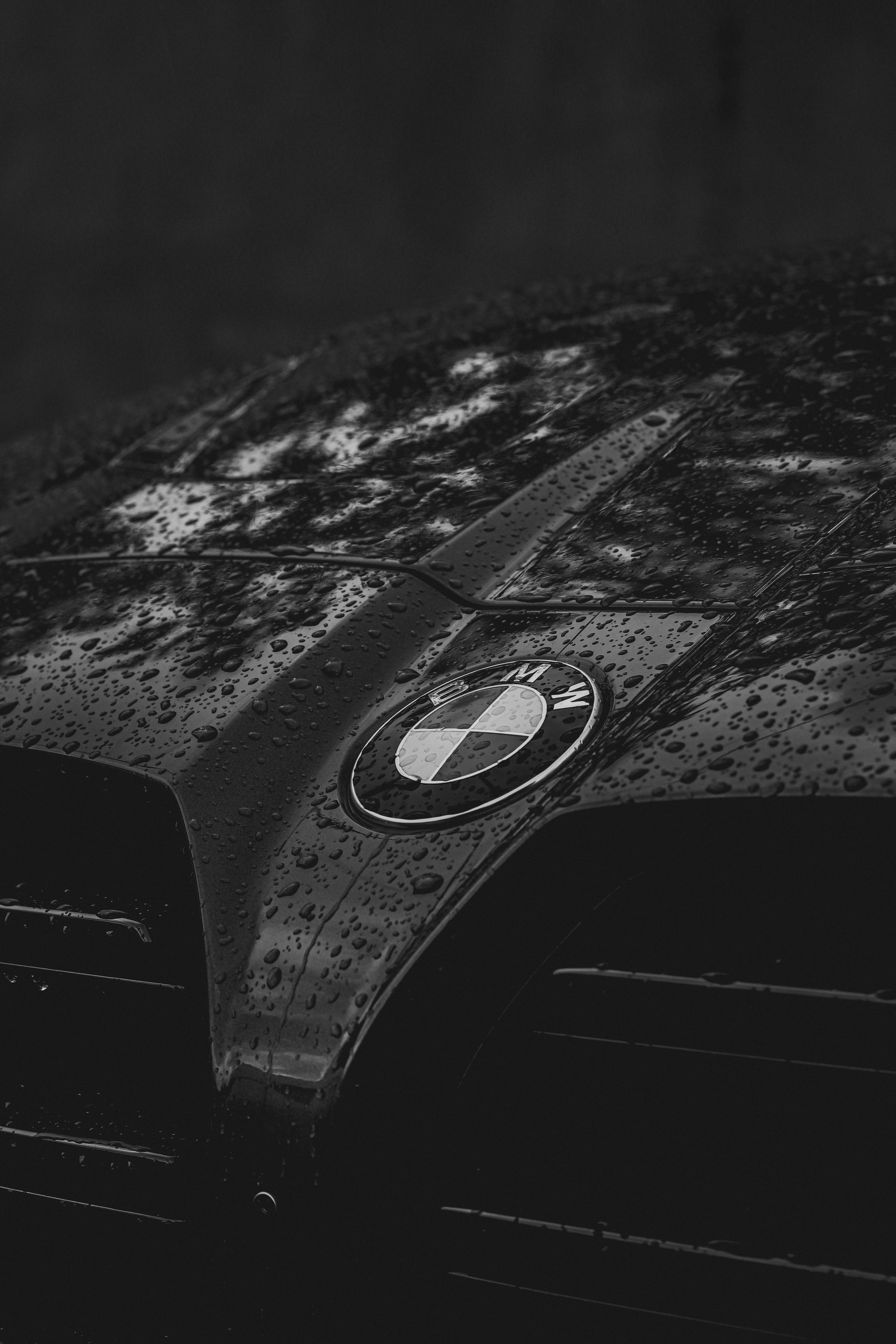BMW Logo on the Hood of a Car · Free