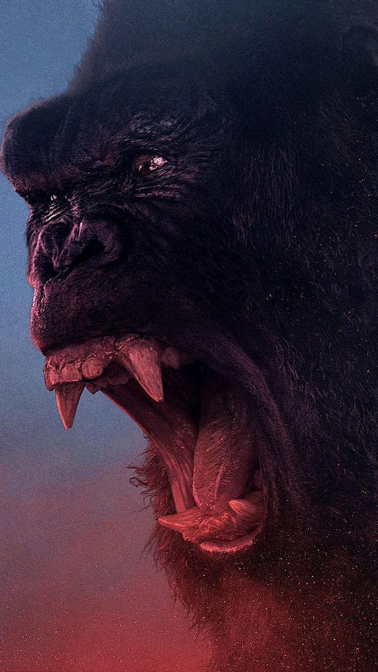 Gorilla