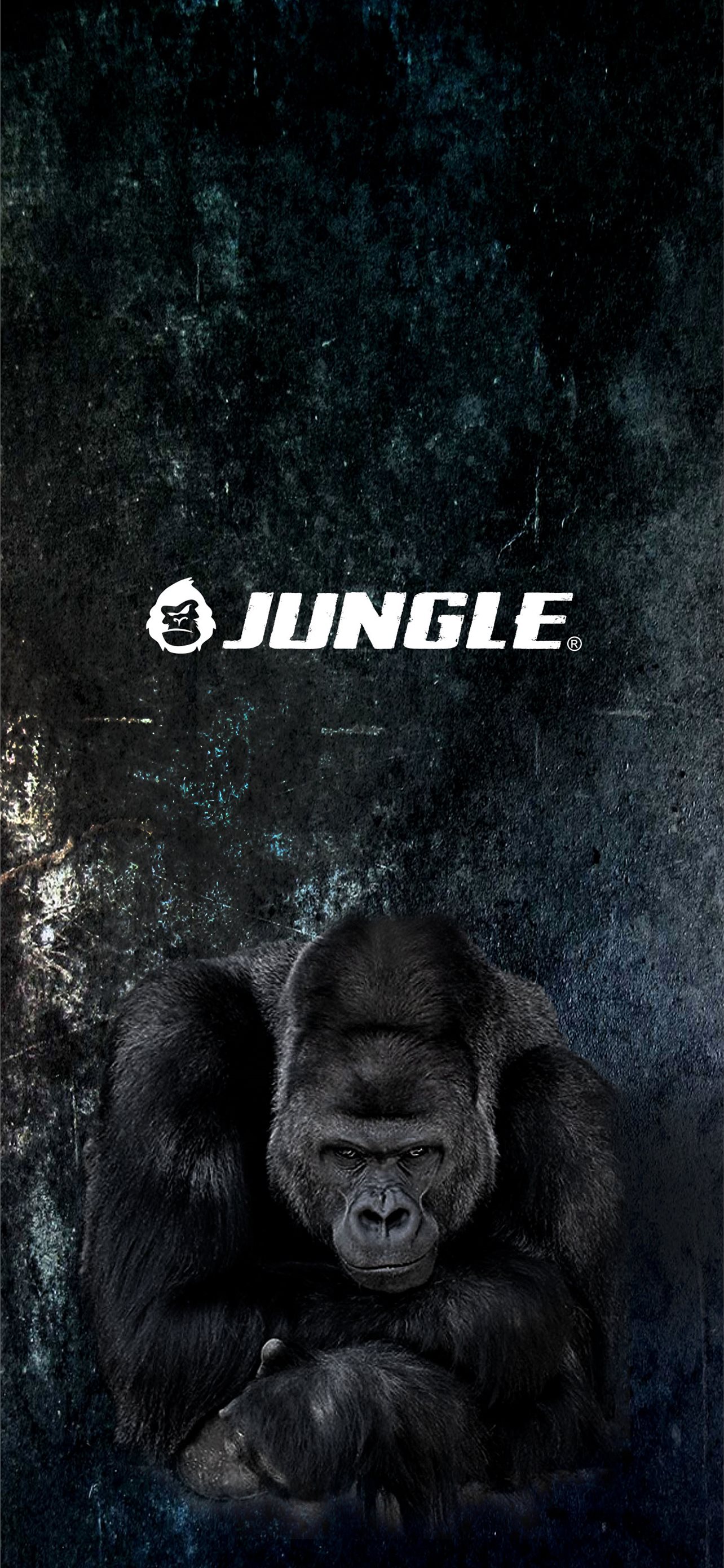 Best Gorilla iPhone HD Wallpaper
