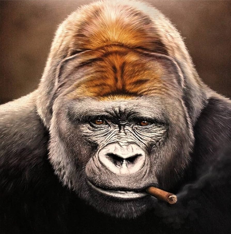 Wall Art Animal Art Gorilla Smoking Cigar Canvas Painting Posters And Print Canvas Wall Picture For Living Room Home Decor 70x70cm 27.5”x27.5” No Frame, Amazon.co.uk: Home & Kitchen