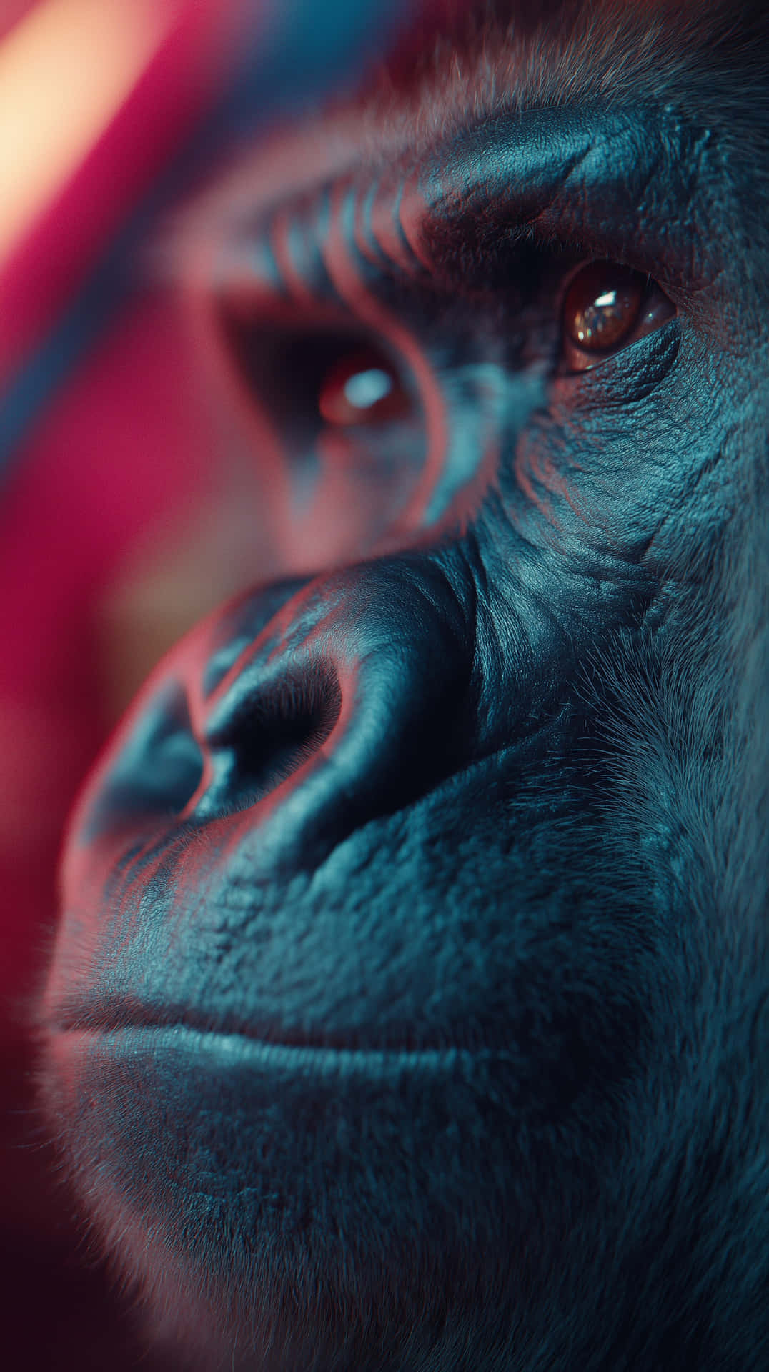 Gorilla Wallpaper