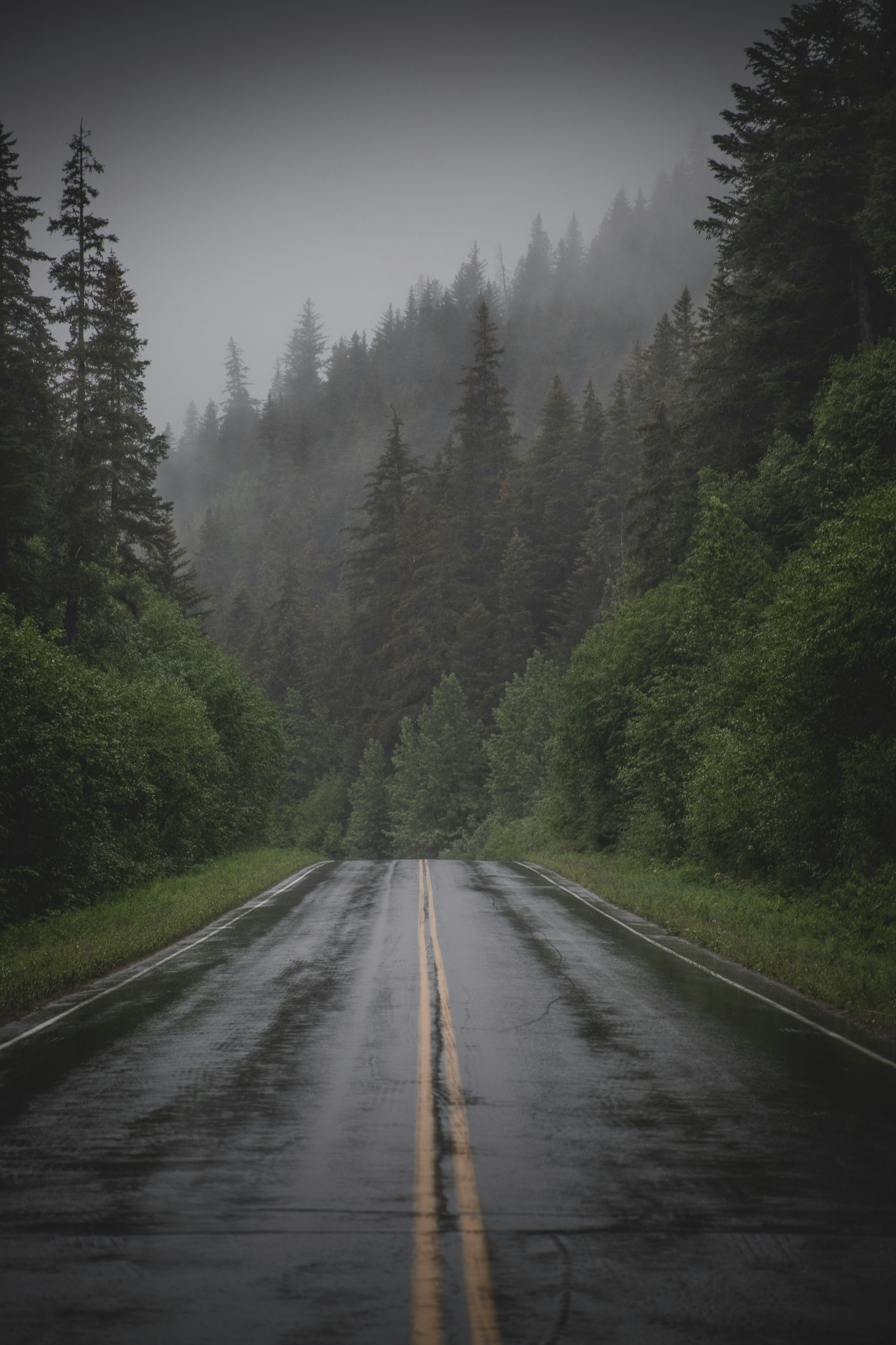 Rainy Road Picture. Download Free Image