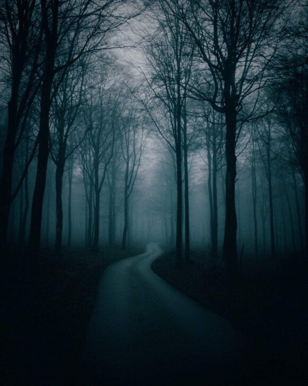 Out of Season. Pas Normal Studios