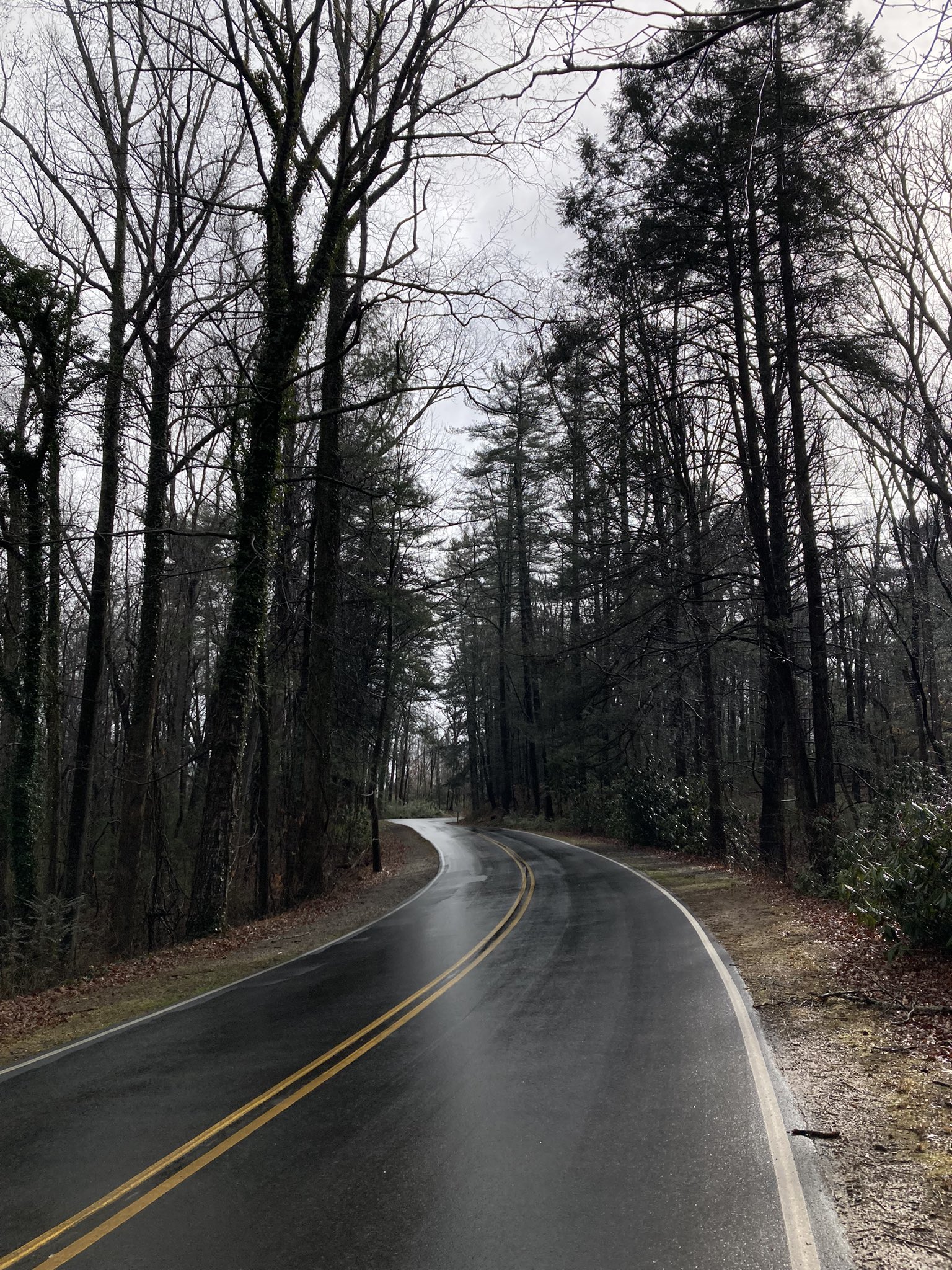 Felicia Sonmez do I feel so good after a run, even though getting up to go for the run on a cold and rainy morning is the hardest thing