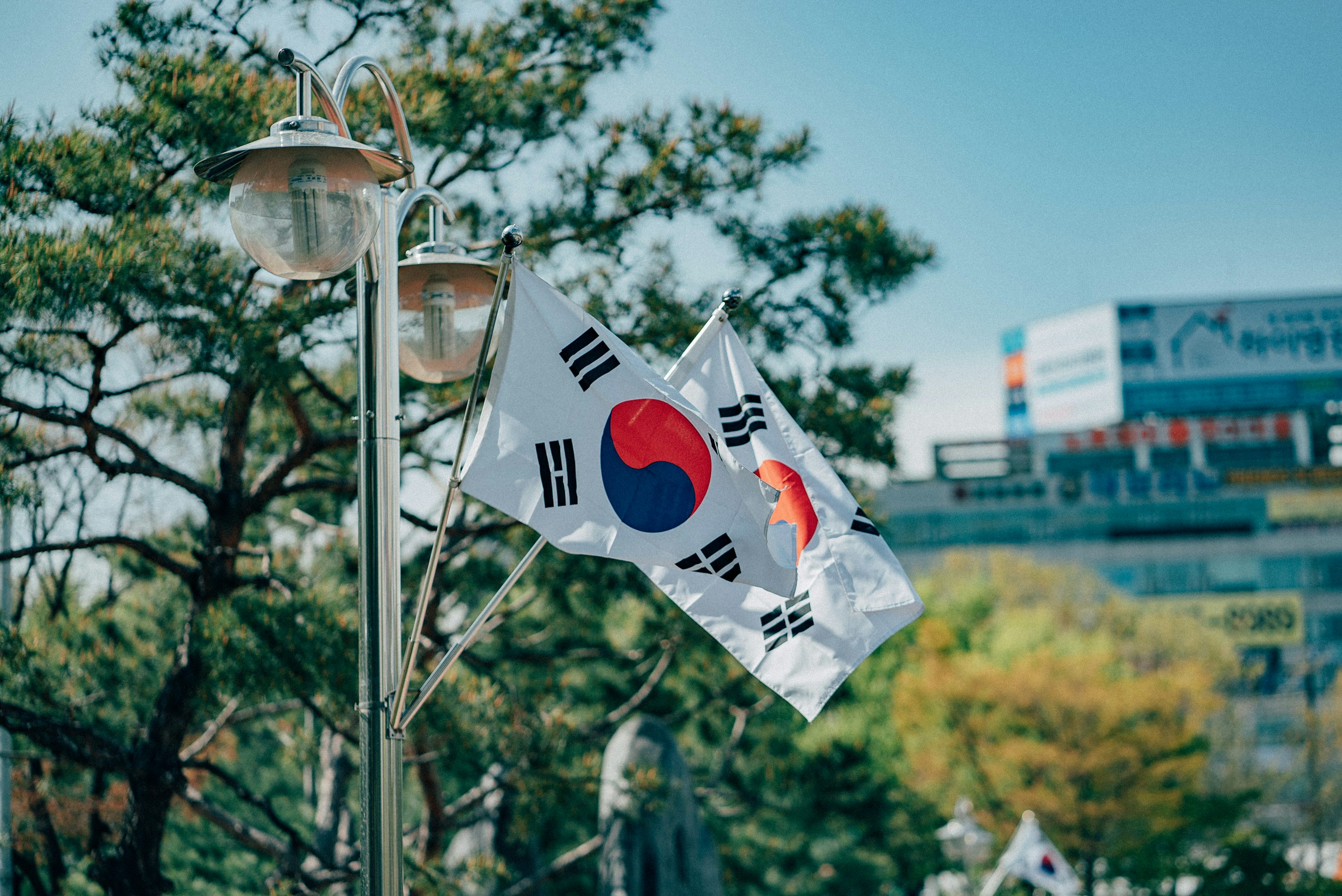 Korea Flag Picture. Download Free Image
