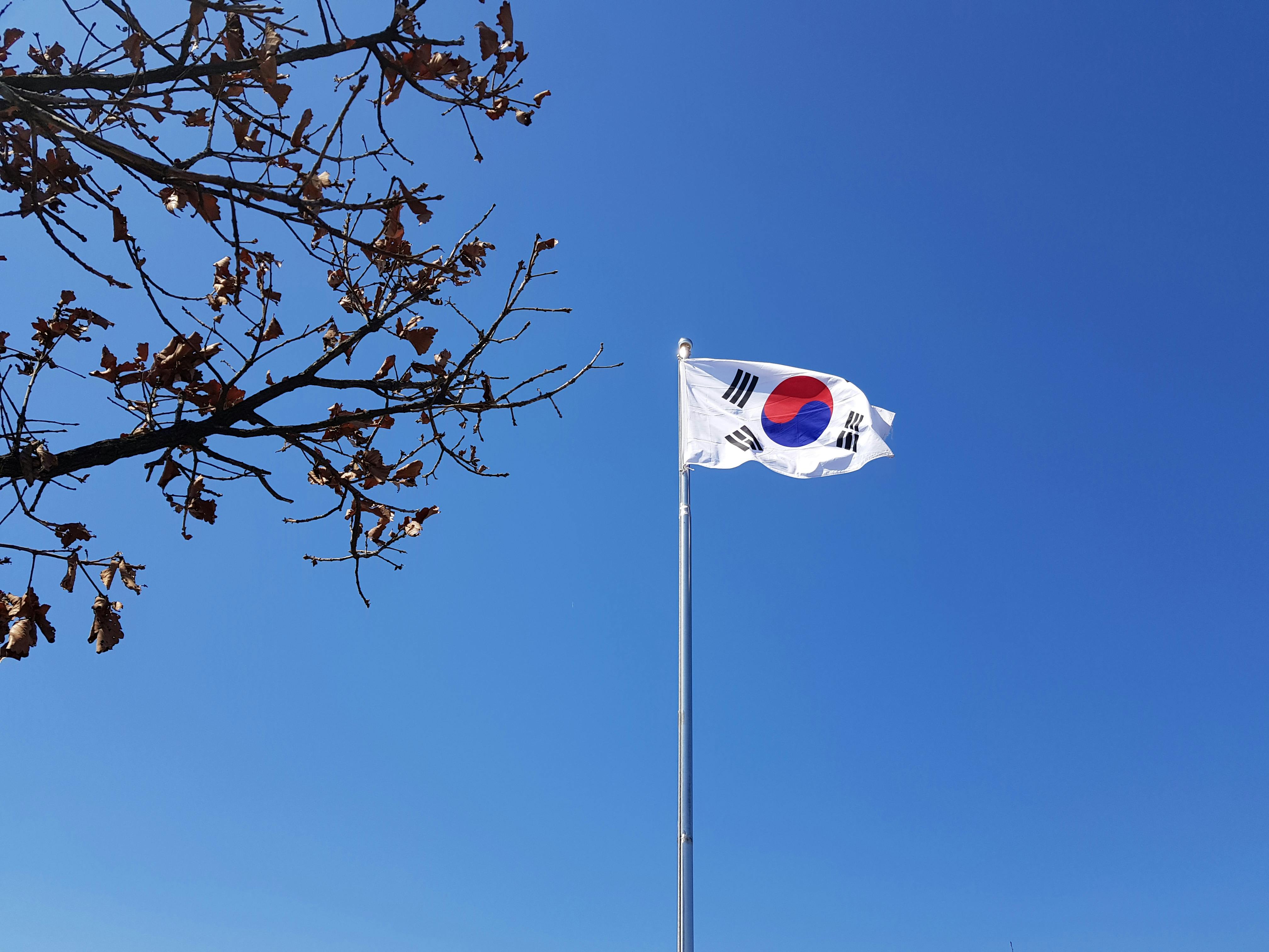 The Flag of South Korea · Free