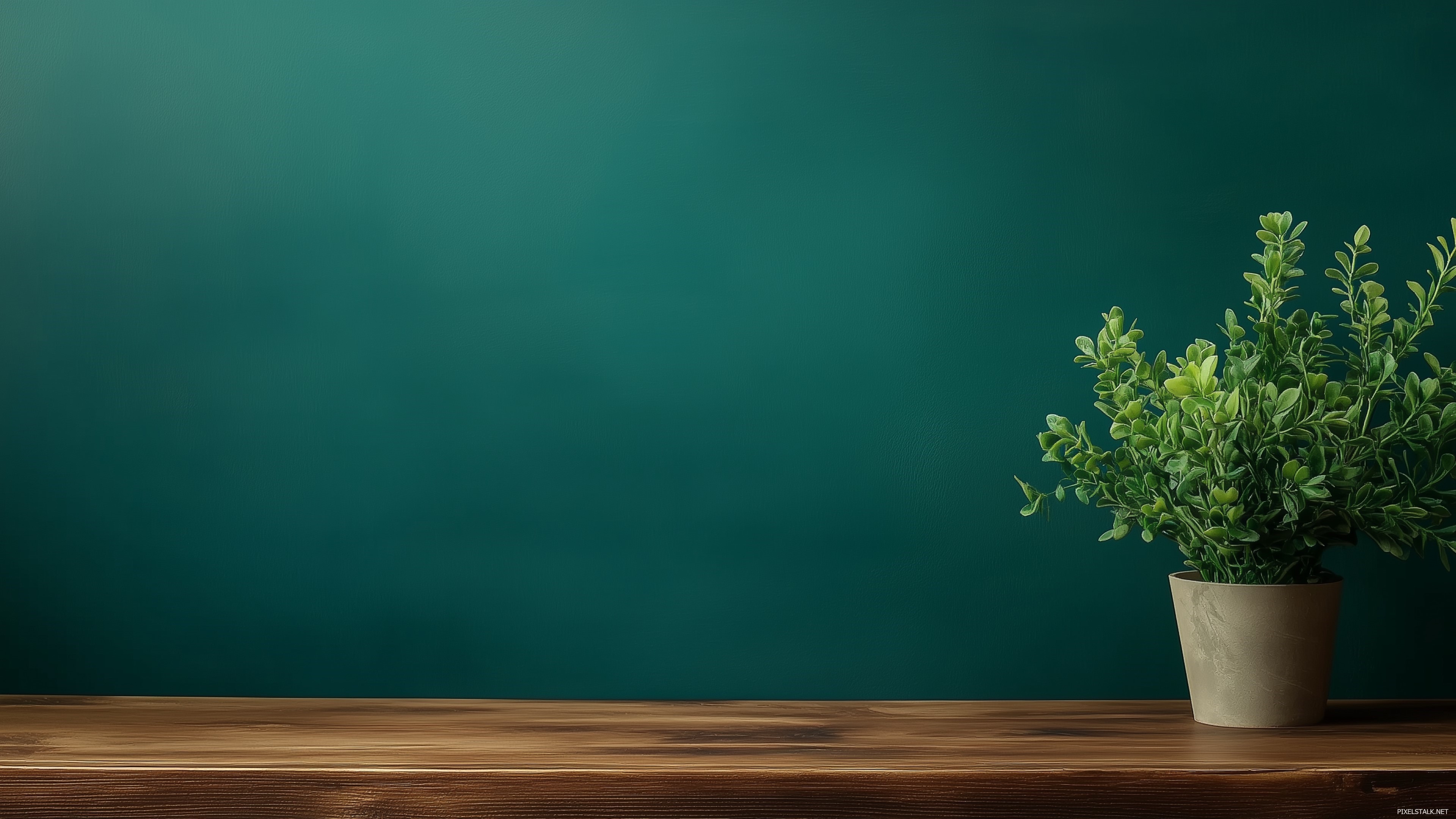 Green HD Wallpaper Free Download