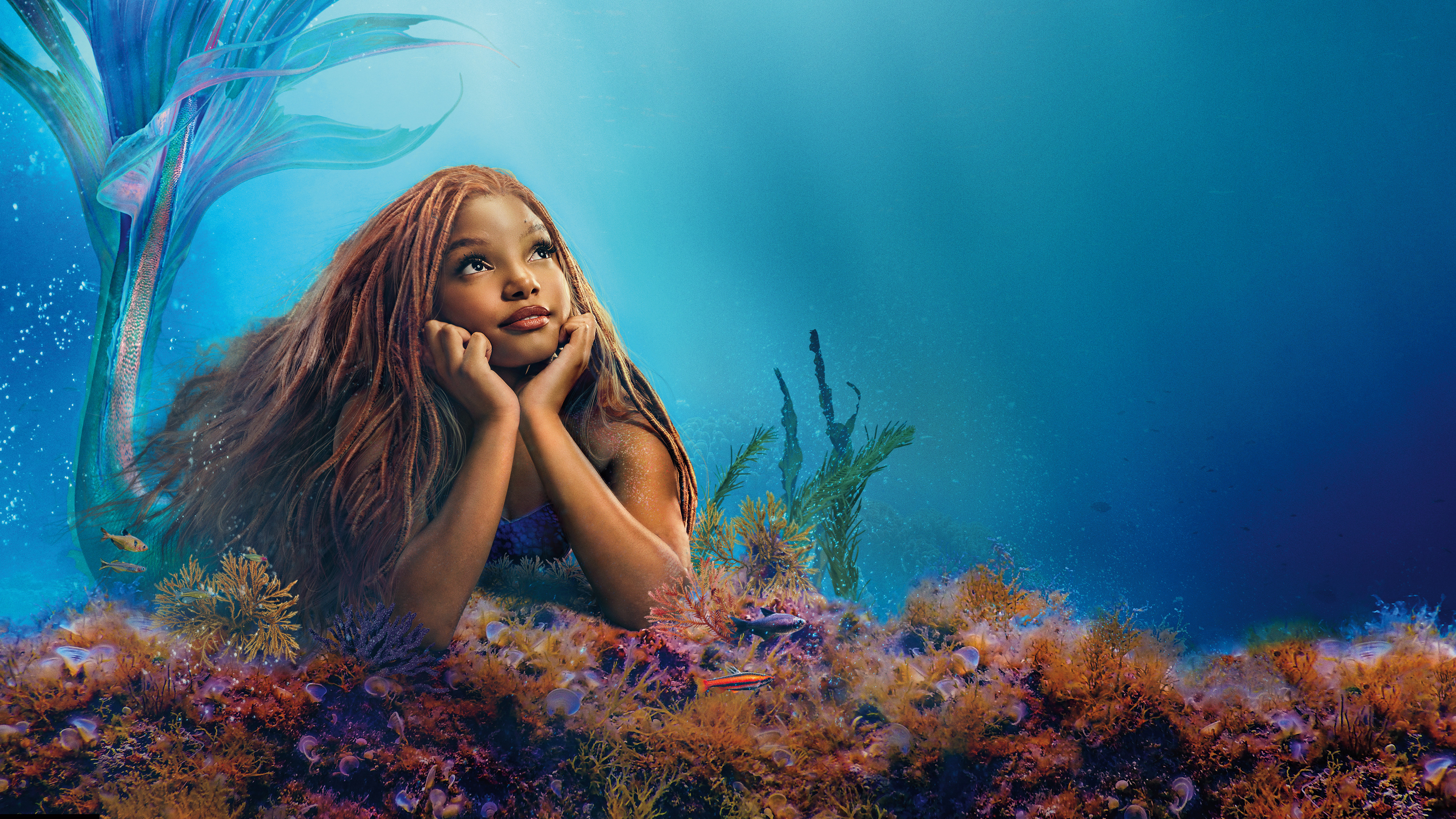 The Little Mermaid 5k Poster Wallpaper, HD Movies Wallpaper, 4k Wallpaper Image, Background, Photos and Picture