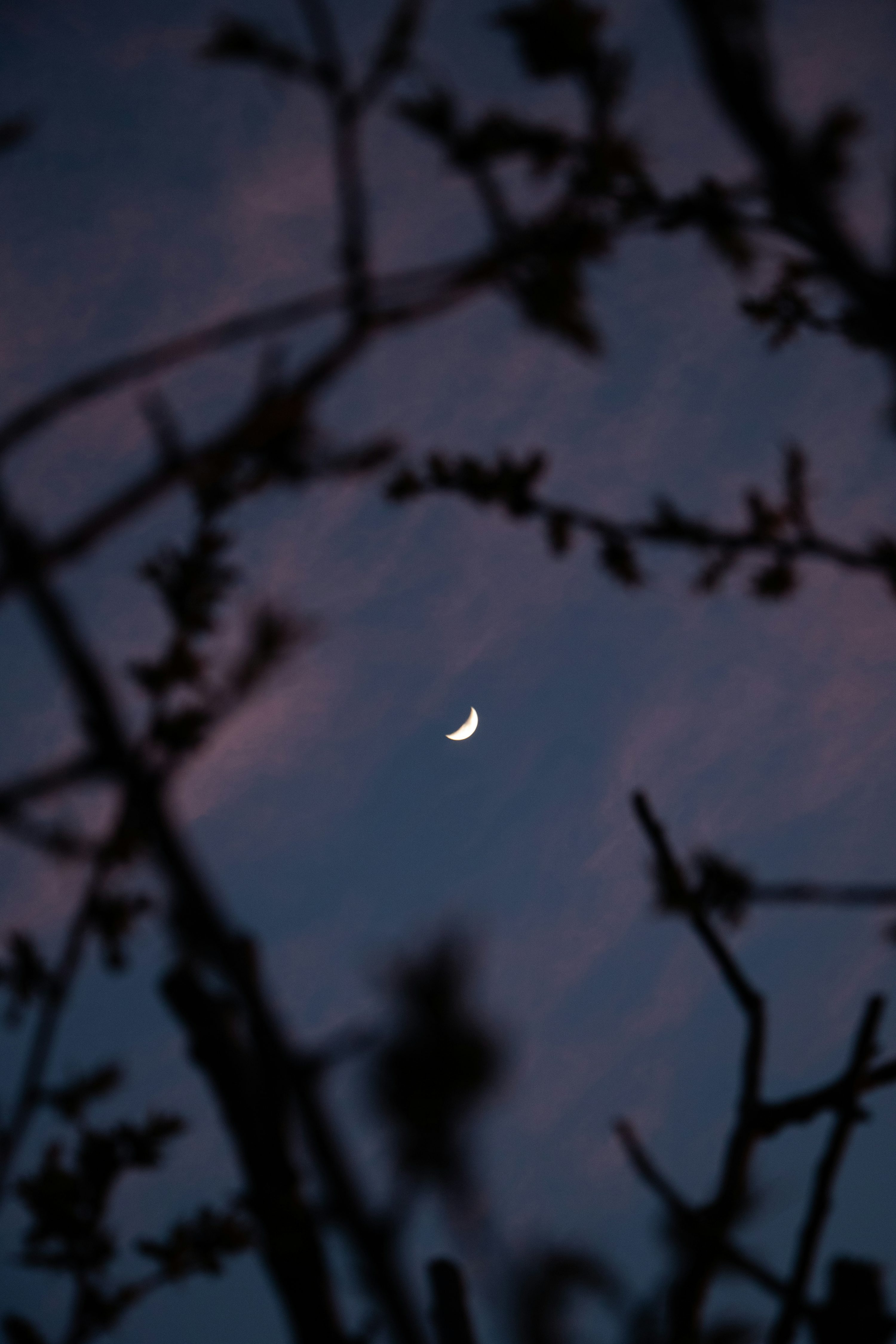 Moon Aesthetic Picture. Download Free Image