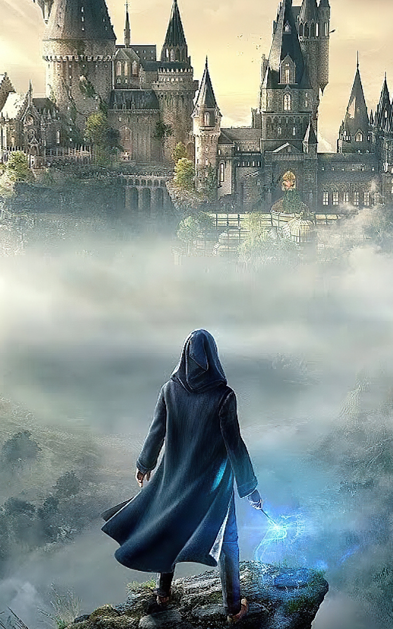 Hogwarts Legacy Nexus 7, Samsung Galaxy Tab 10, Note Android Tablets , HD 4k Wallpaper, Image, Background, Photos and Picture