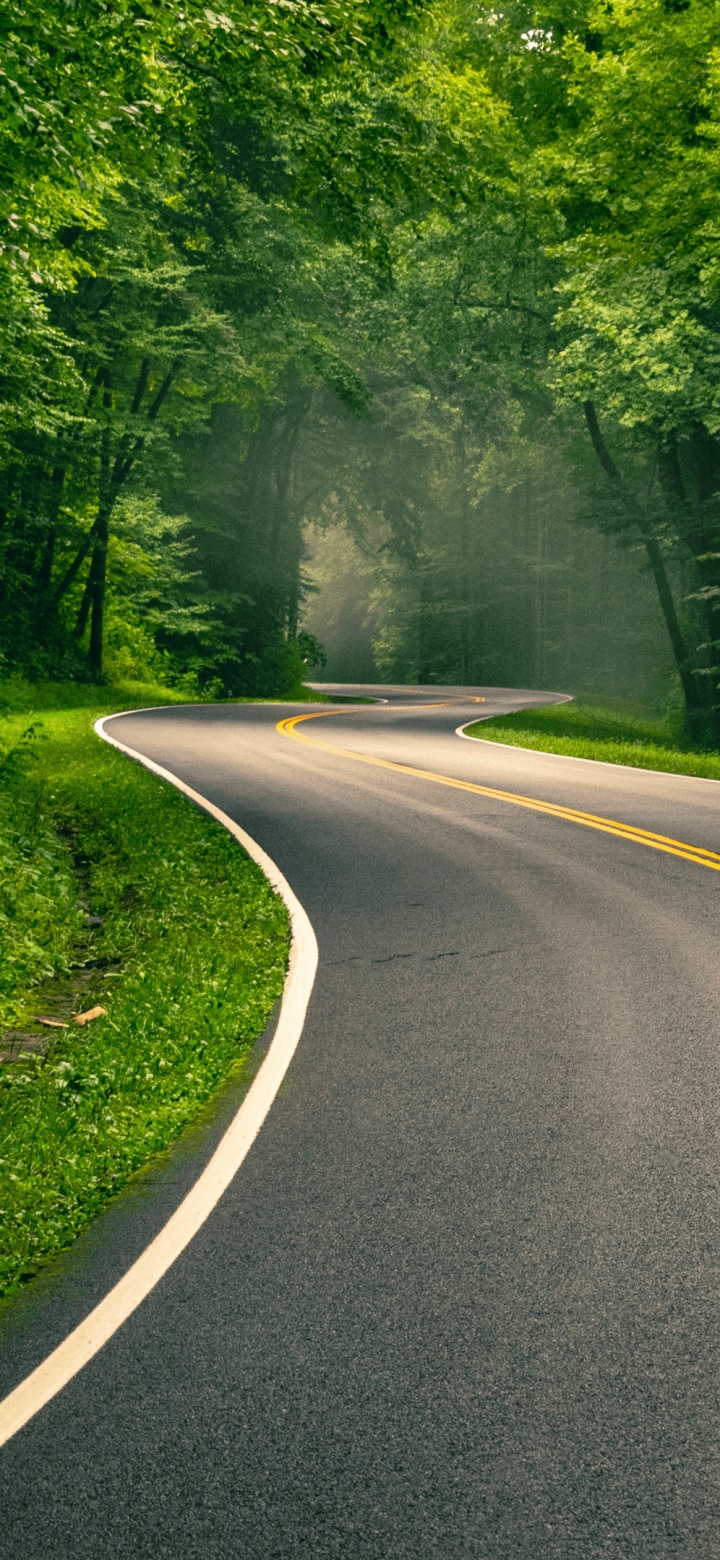 Curved Road through Vibrant Green Forest 4K UHD Wallpaper for UltraHD Desktop and TV, Widescreen and UltraWide Display, Dual Monitor, Smartphone and Tablet Devices
