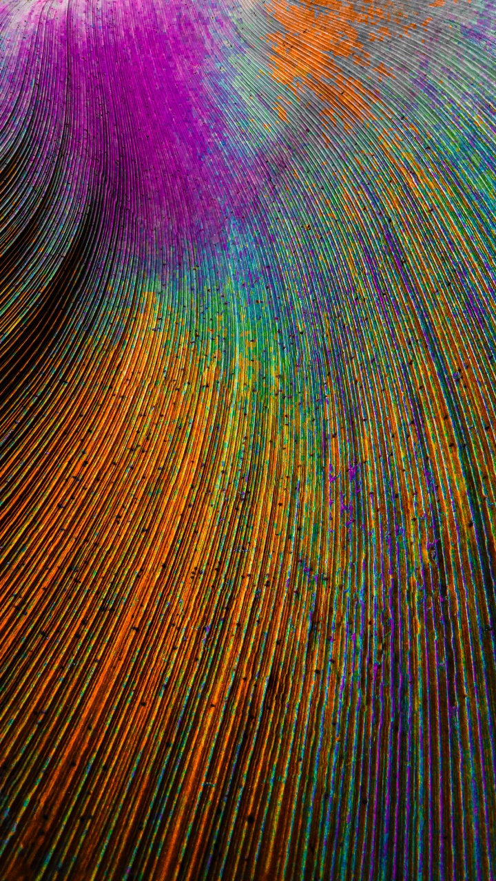 Peacock feather Wallpaper 4K, Curved lines, Colorful, Particles