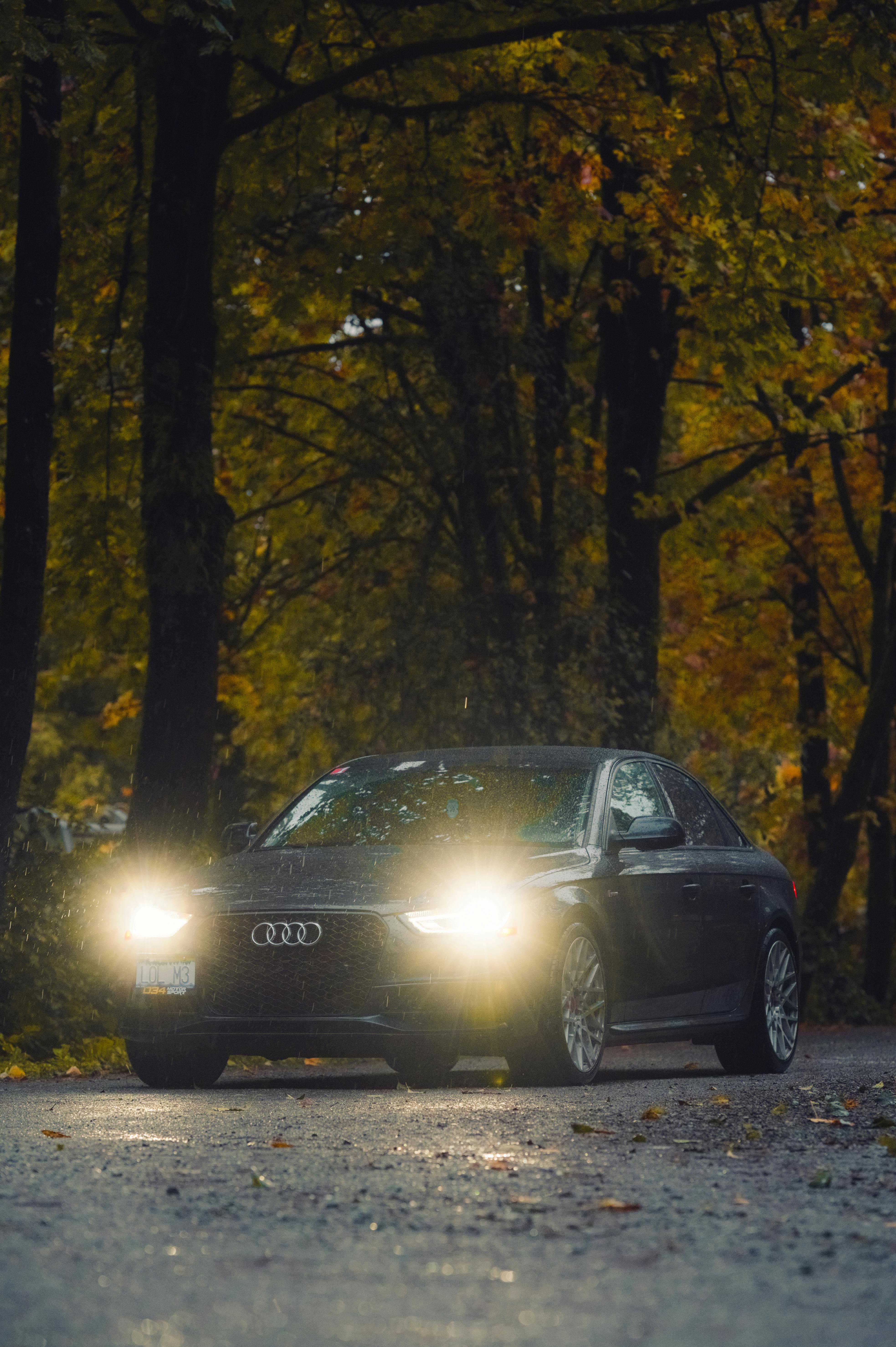 Audi A4 on Road in Forest · Free