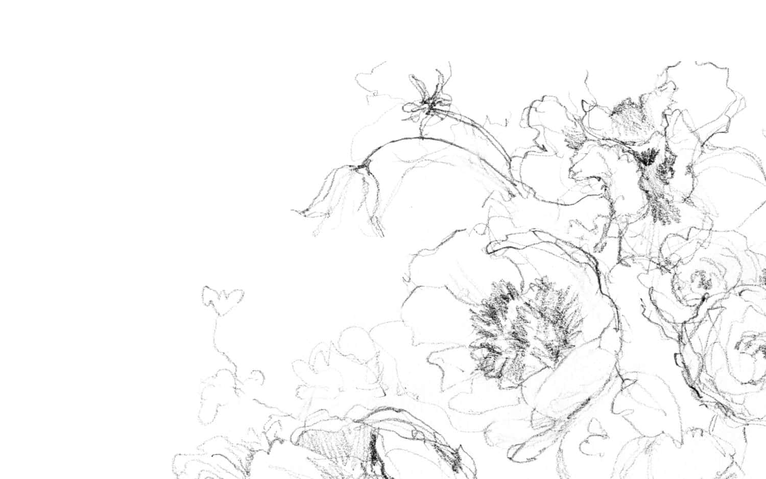 Download Floral Drawing Desktop Wallpaper