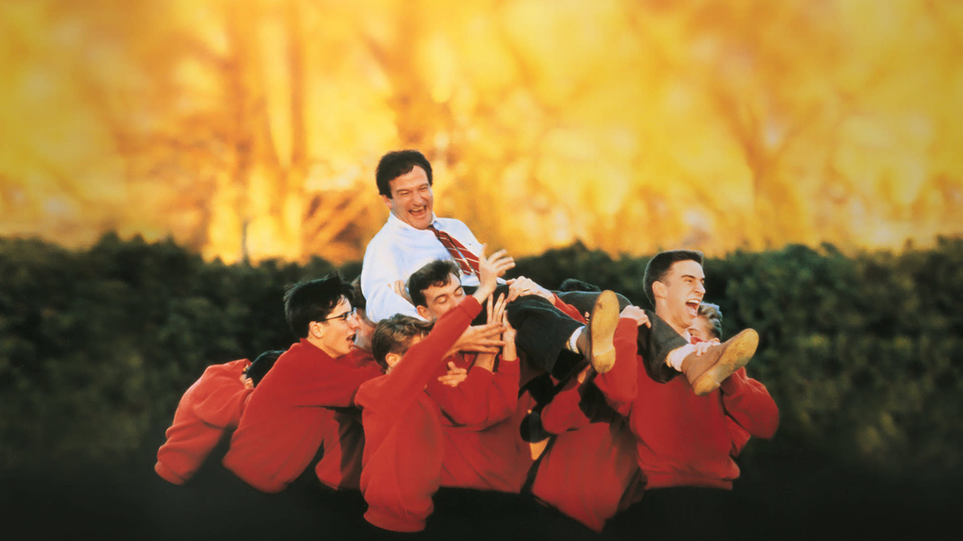 Dead Poets Society on Disney+ United Arab Emirates. English German Japanese Spanish Castilian (European) Spanish (Latin America) Italian French (Parisian) French Canadian (Canada) Portuguese (Brazil) Turkish Polish Hungarian Drama Coming of