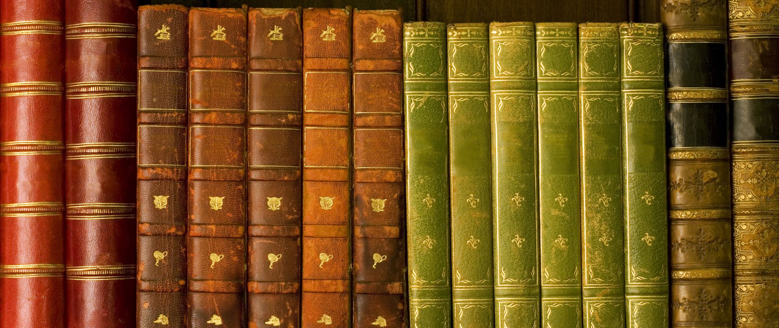 Download wallpaper 2560x1080 shelf, library, roots, books dual wide 1080p HD background