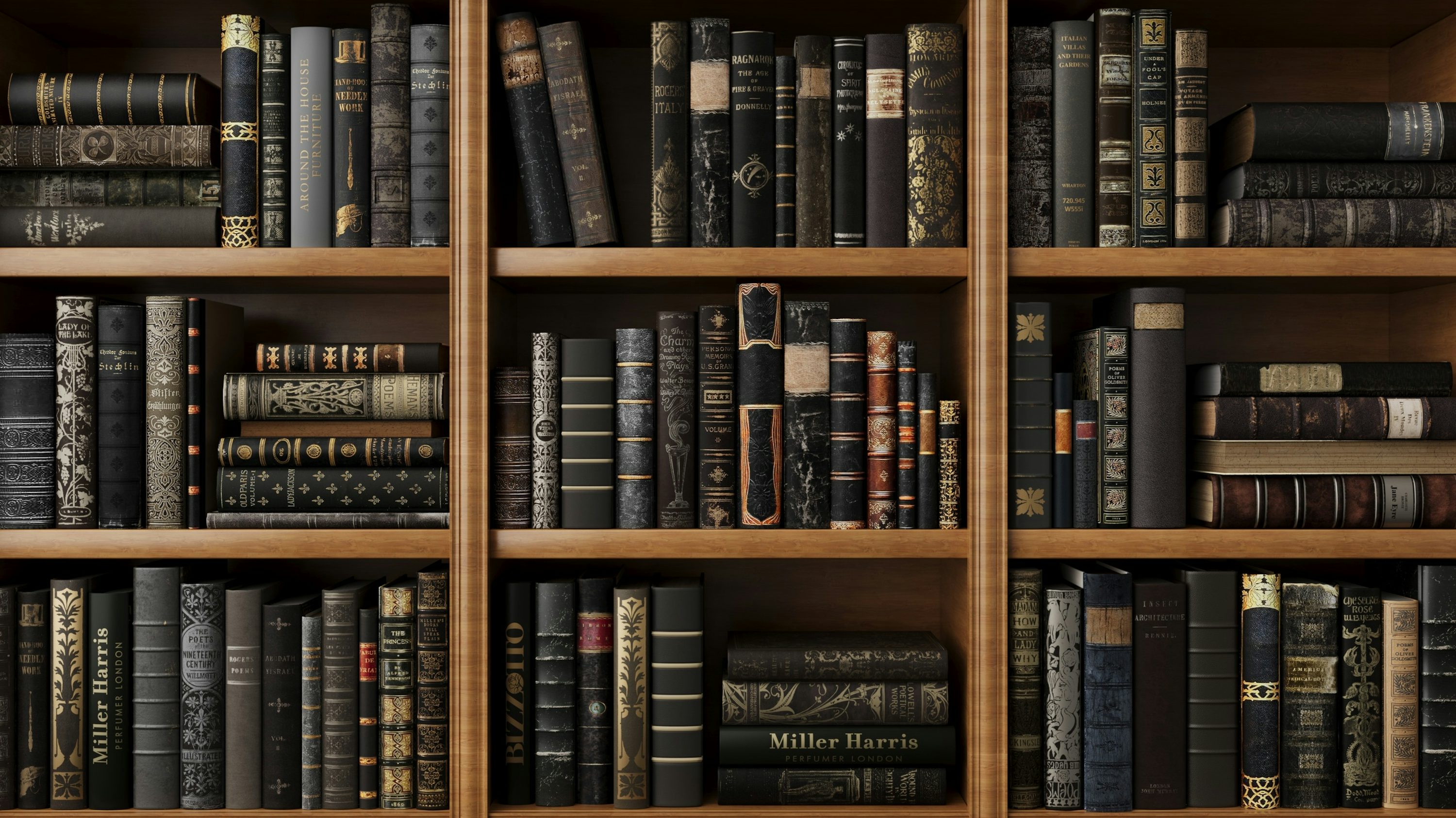 Bookshelf Picture [HD]. Download Free Image