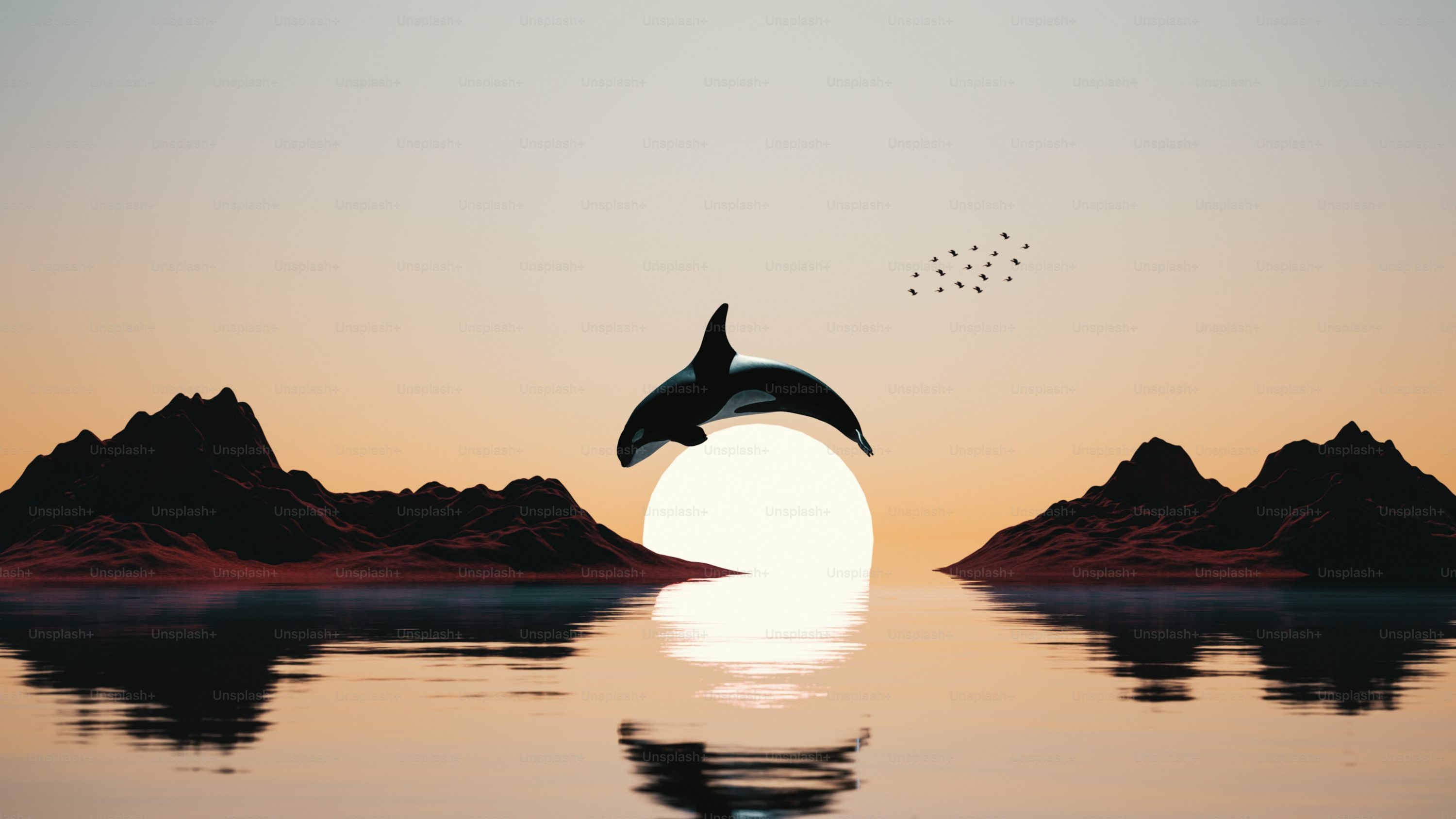 Orca Picture. Download Free Image