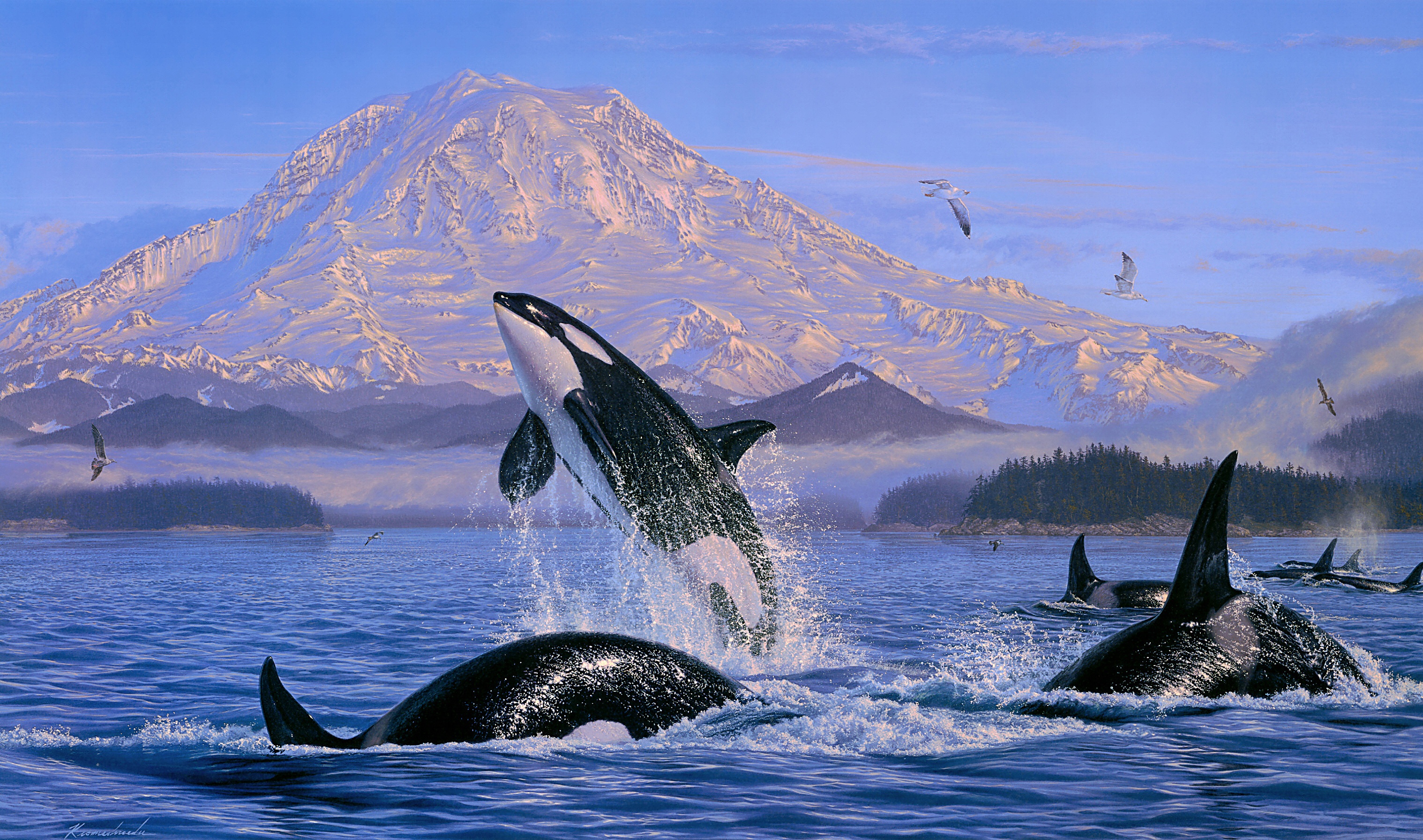 Download Sea Life Painting Animal Orca HD Wallpaper