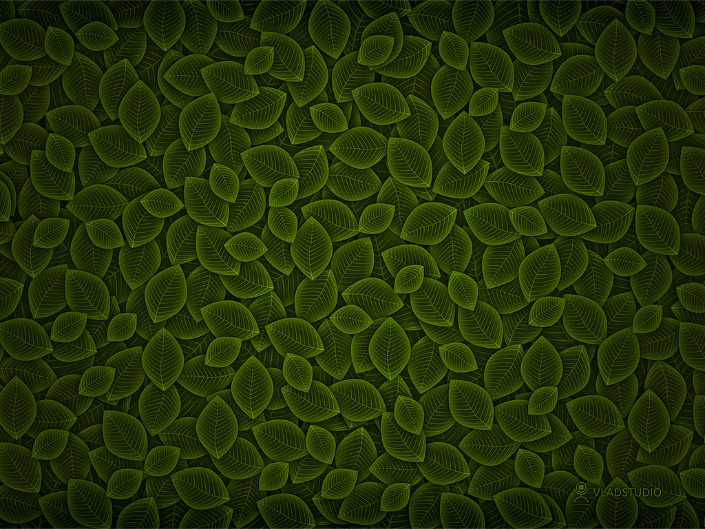 Dark Green Leaves Background Wallpaper 06507