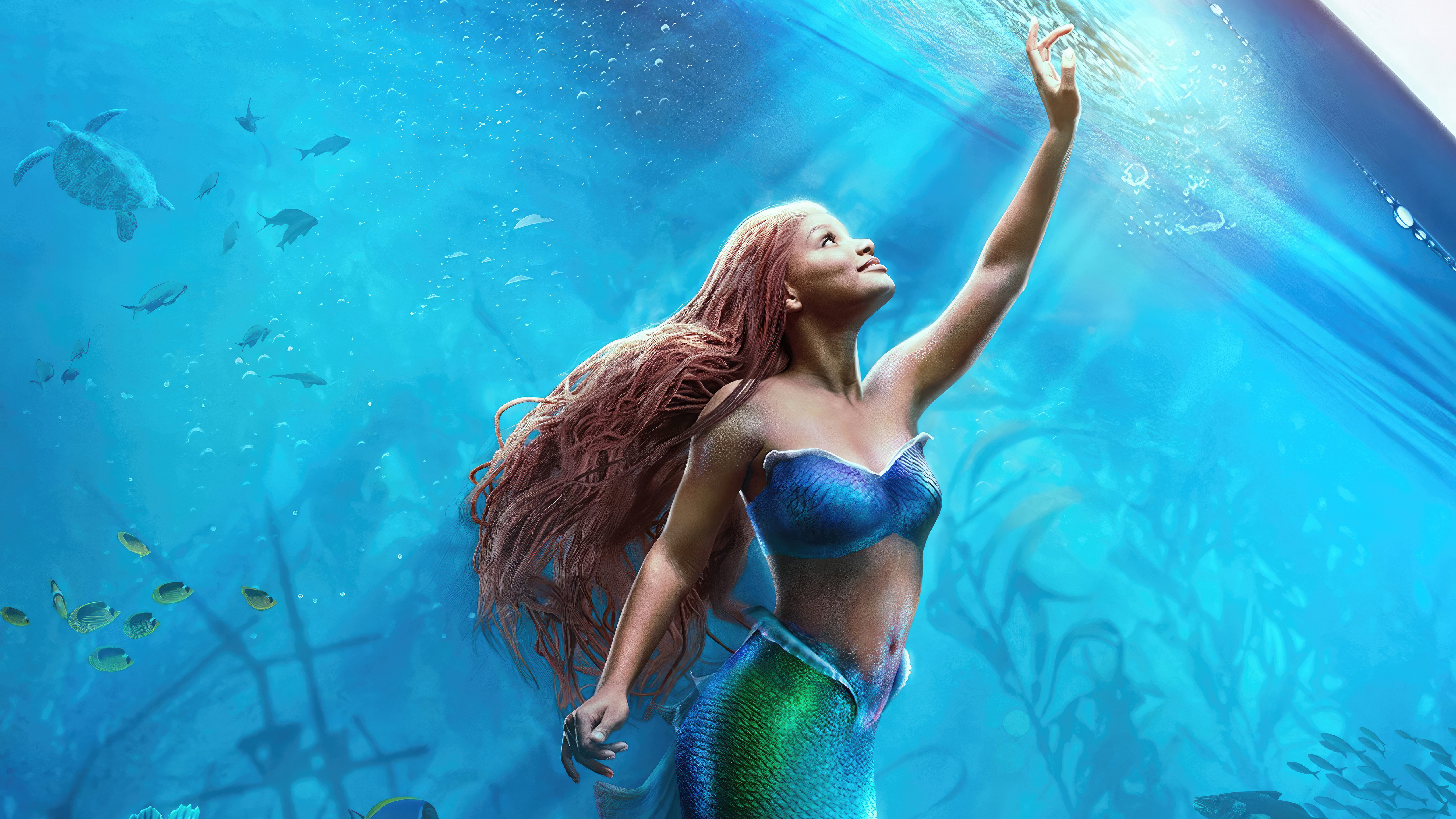 Ariel in the water the character of the film The Little Mermaid 2023 Desktop wallpaper 640x480