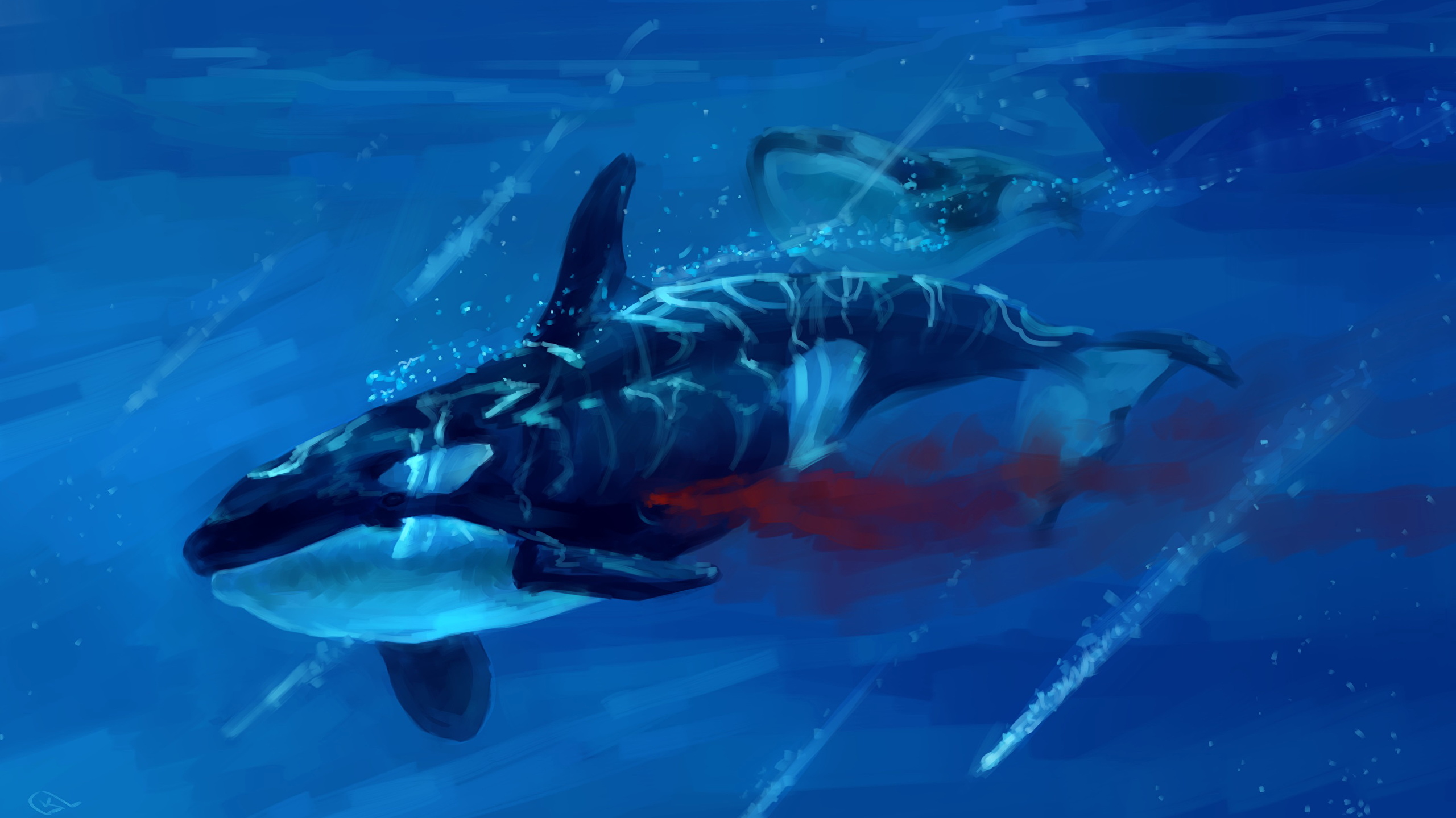 Wallpaper Orca Underwater world Blood animal Painting Art 2560x1440