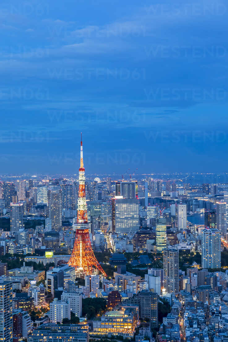 Japan, Kanto Region, Tokyo, City downtown at blue dusk with Tokyo Tower in foreground